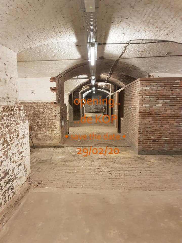 Klussen in de kelder - de laatste loodjes!  01/02 en 15/02