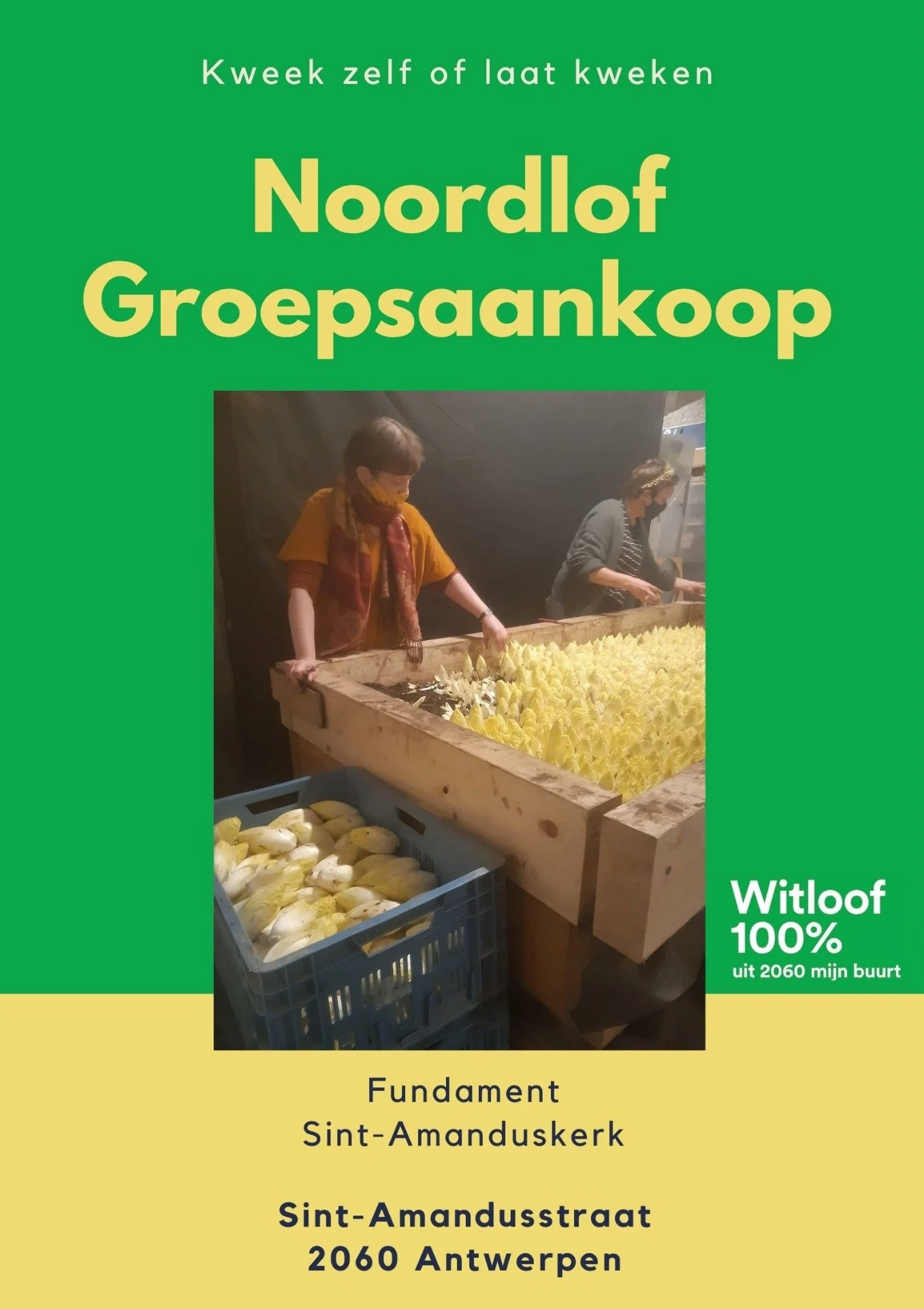 Noordlof - Groepsaankoop witloofwortelen