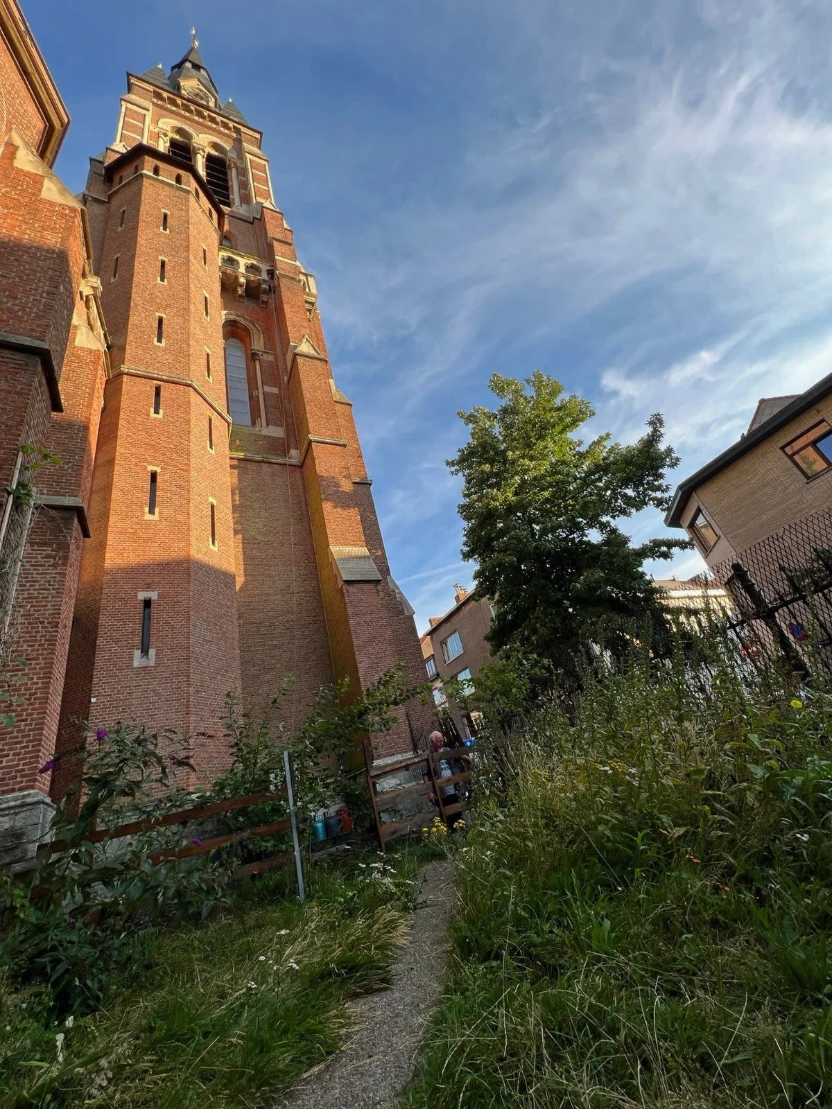 Koeldament 10-11-12 augustus 2022