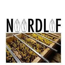 Noordlof samen planten en afhalen