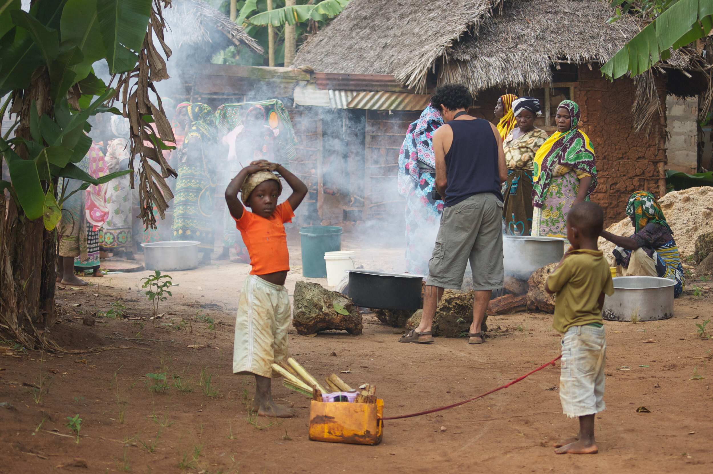 Forêt de Donga, Zanzibar