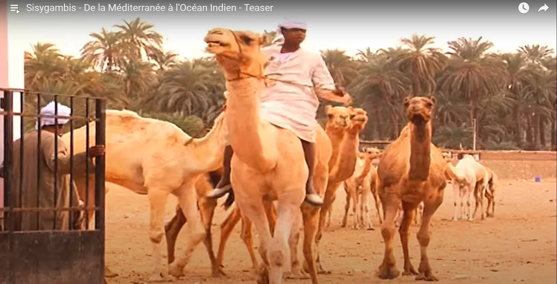 [Voyages à la maison]  #5