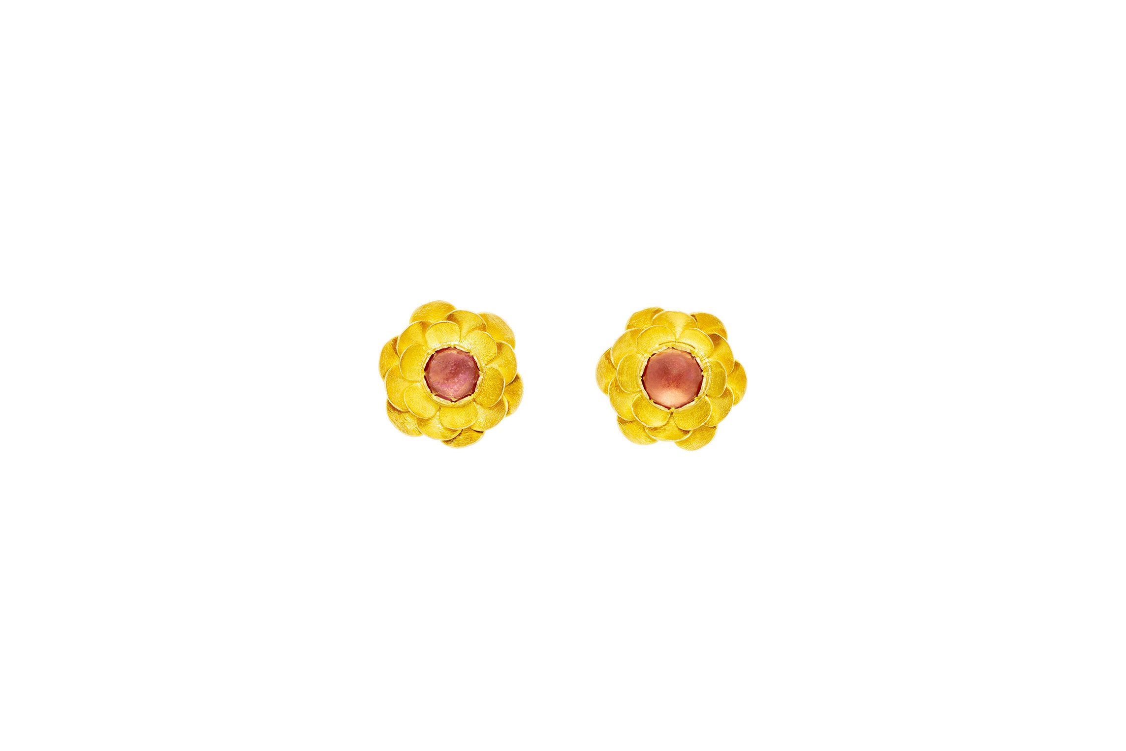 Japoneira em flor.jpg