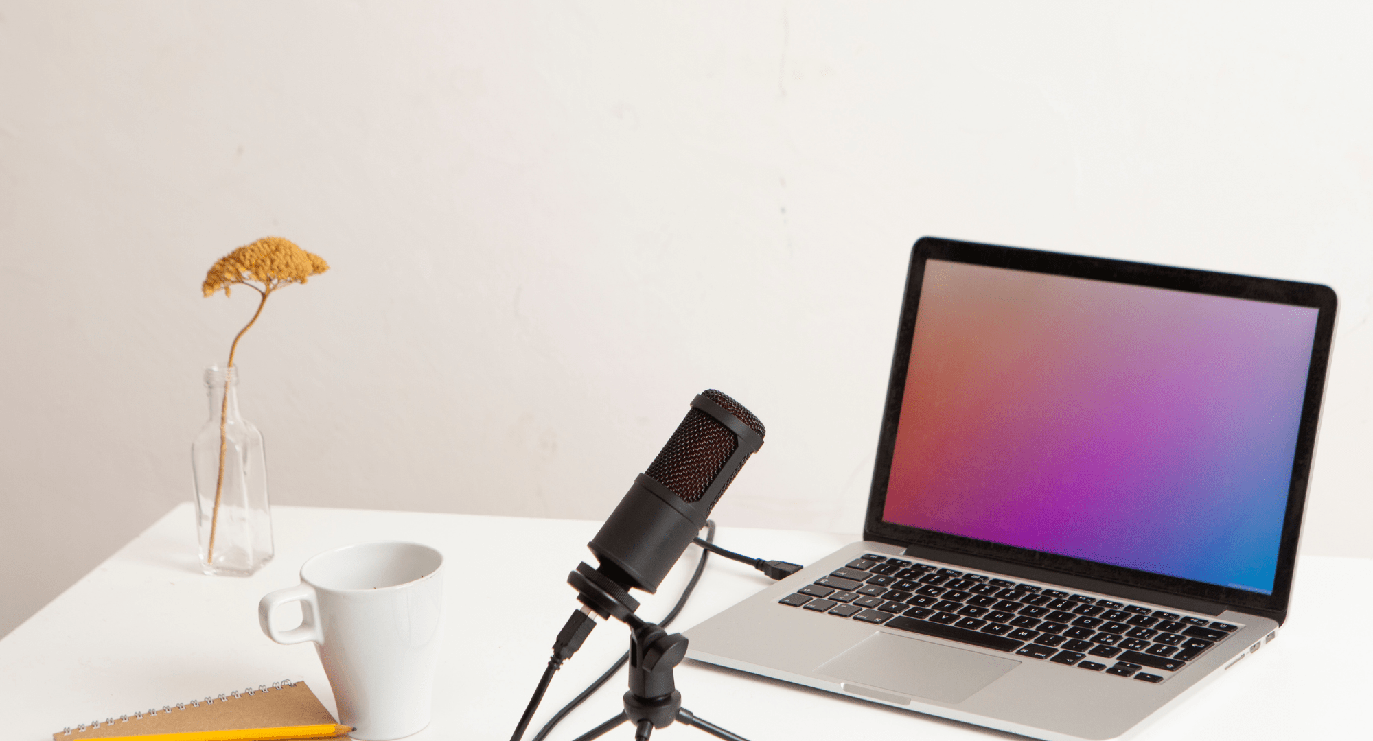 anetapodcastguesting.png