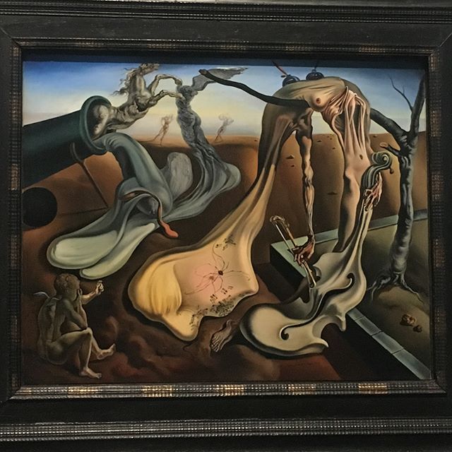 #daddylonglegsoftheeveninghope #selfportrait #viewofcadaqu&eacute;s #sugarsphinx #dali #dalimuseum