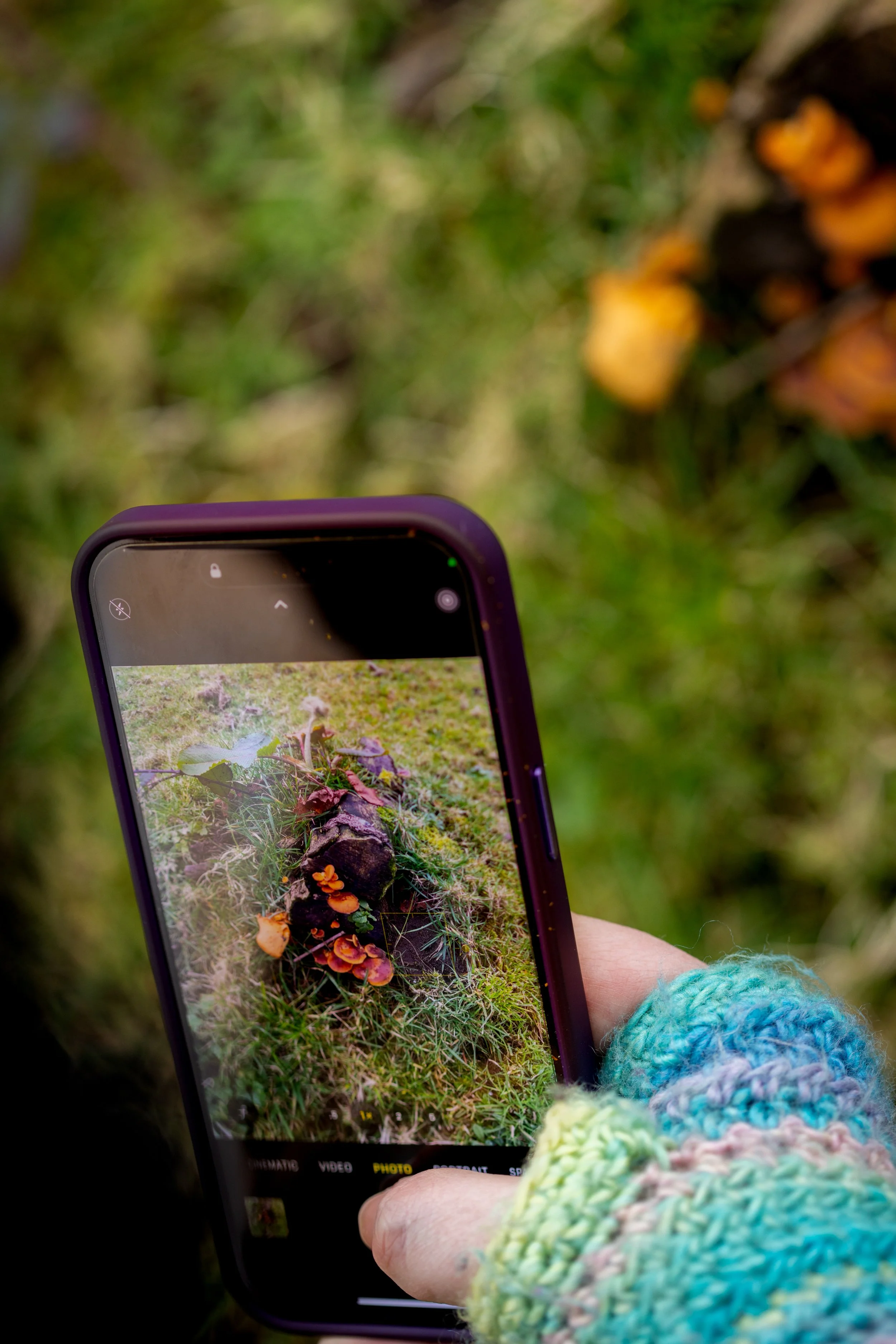 Crymlyn Bog-16.jpg