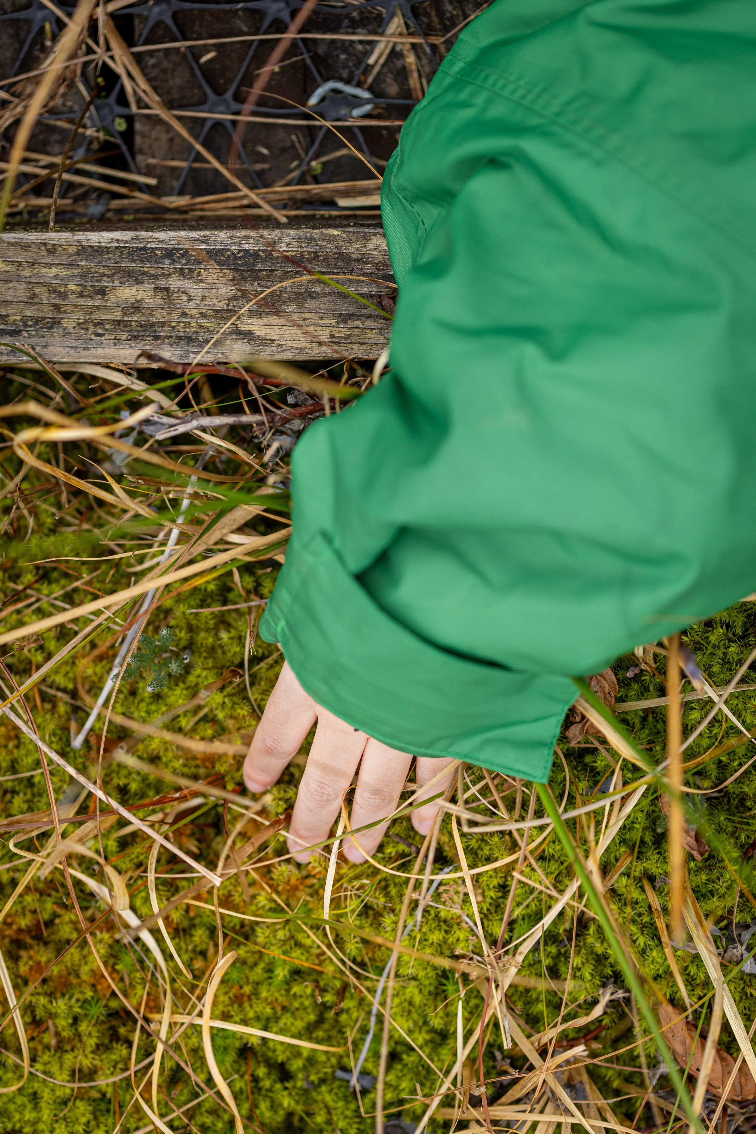 Crymlyn Bog-24.jpg