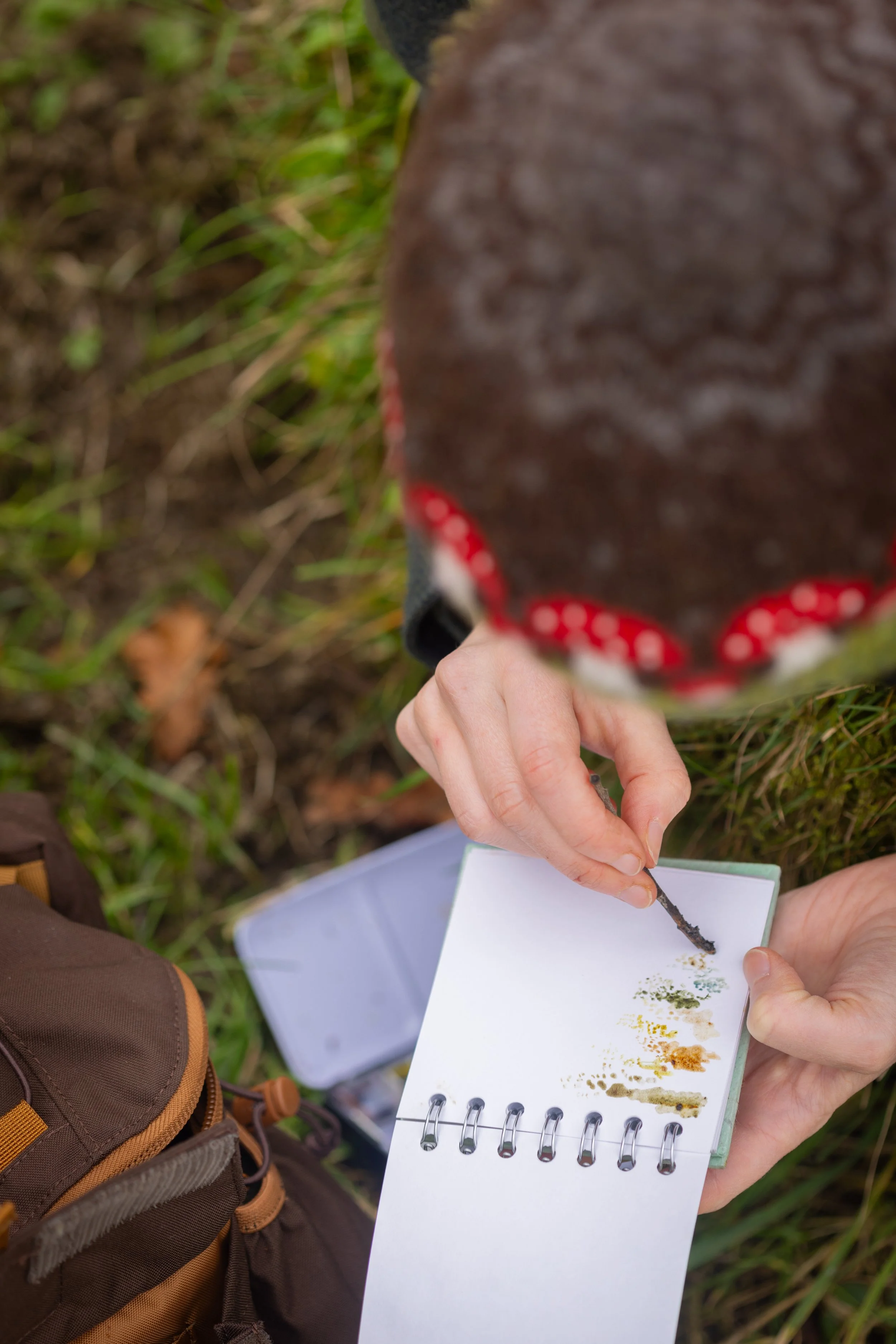 * Crymlyn Bog-01.jpg