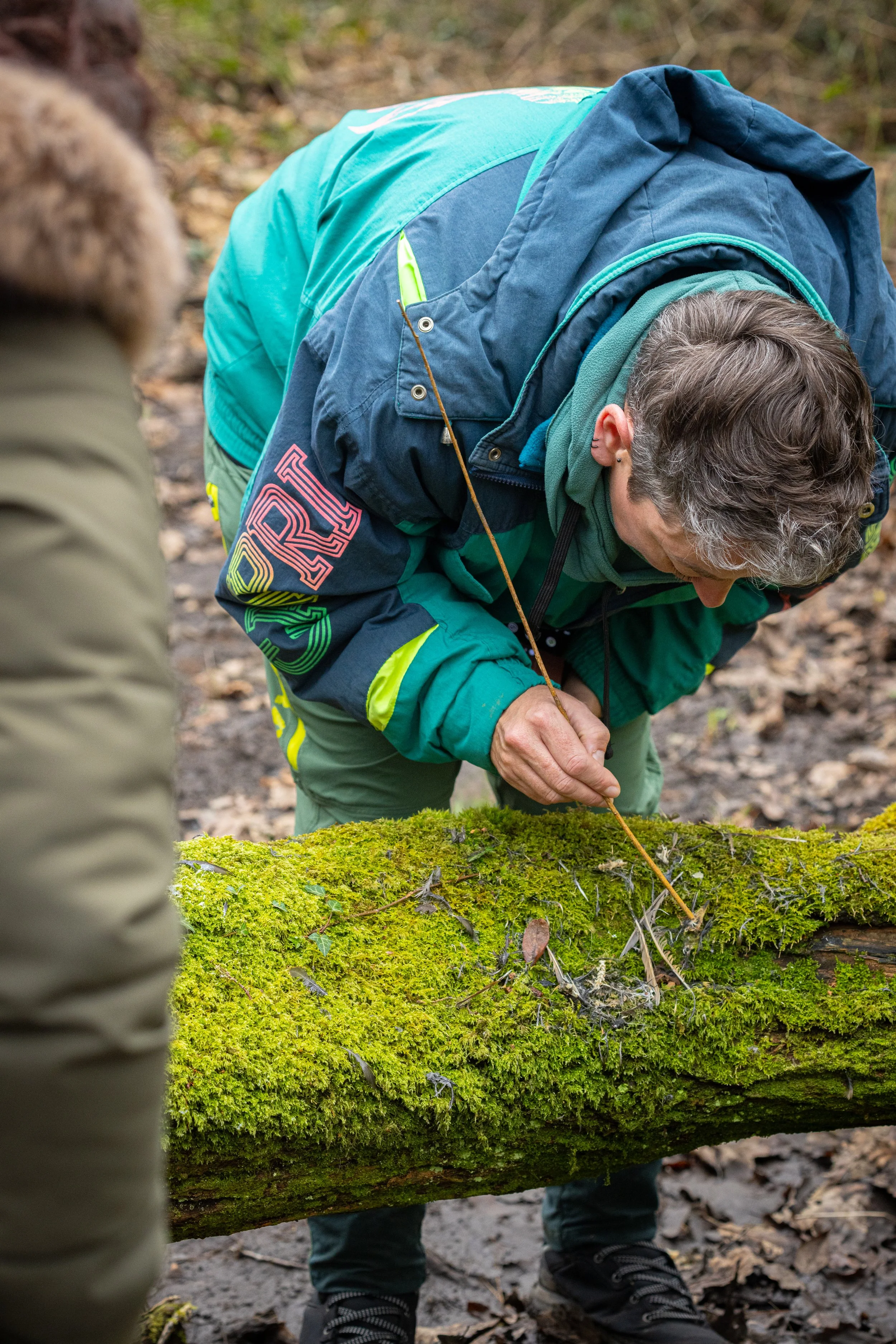 * Crymlyn Bog-47.jpg