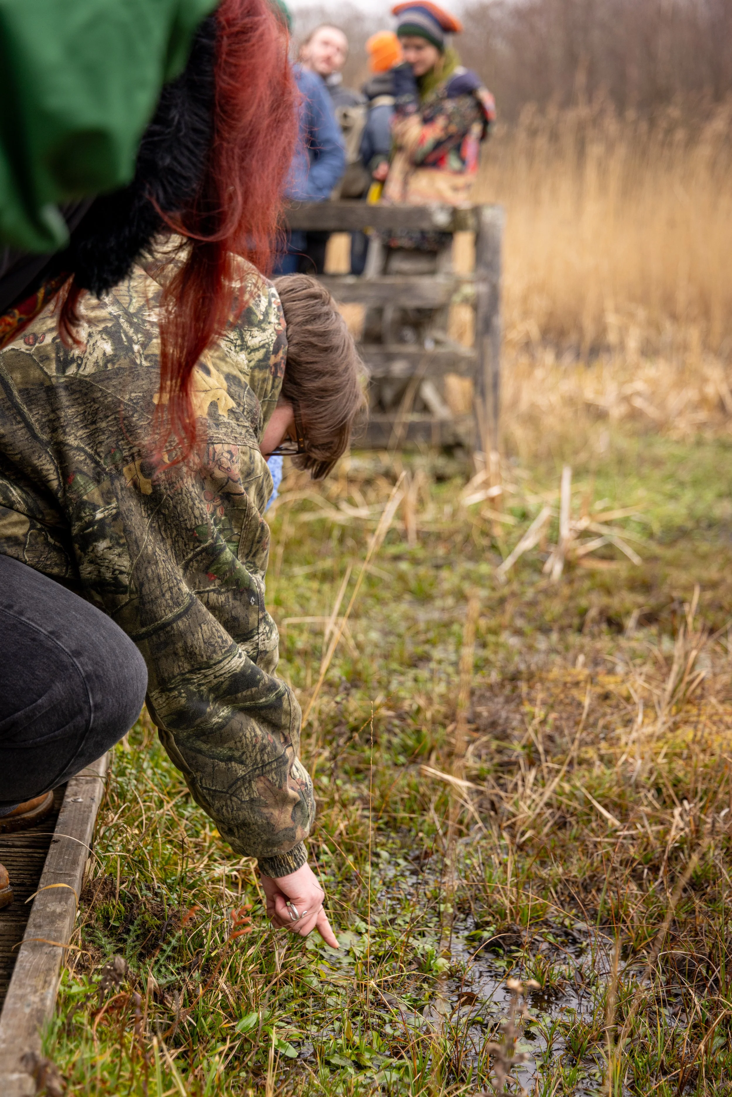 * Crymlyn Bog-69.jpg