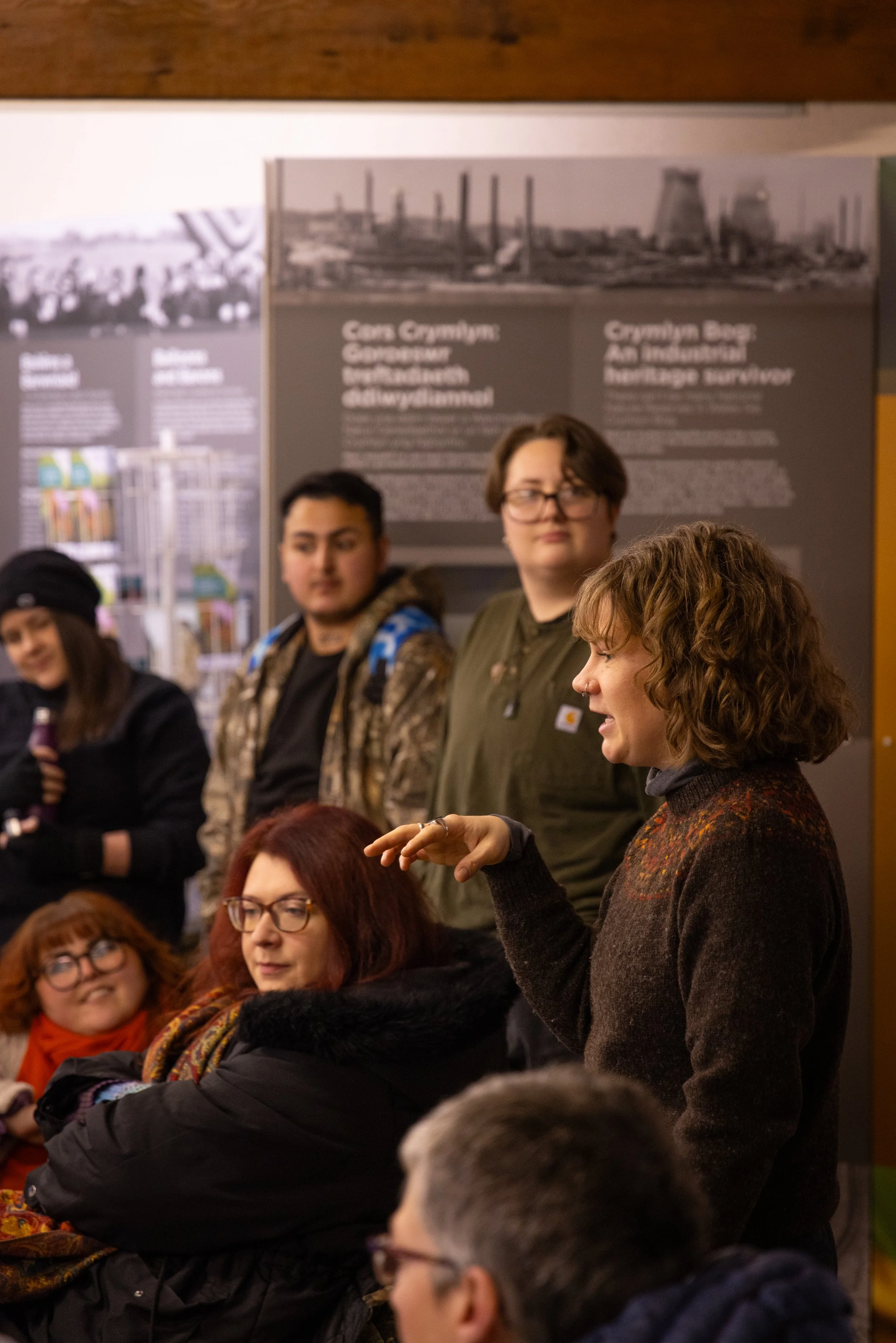 * Crymlyn Bog-82.jpg