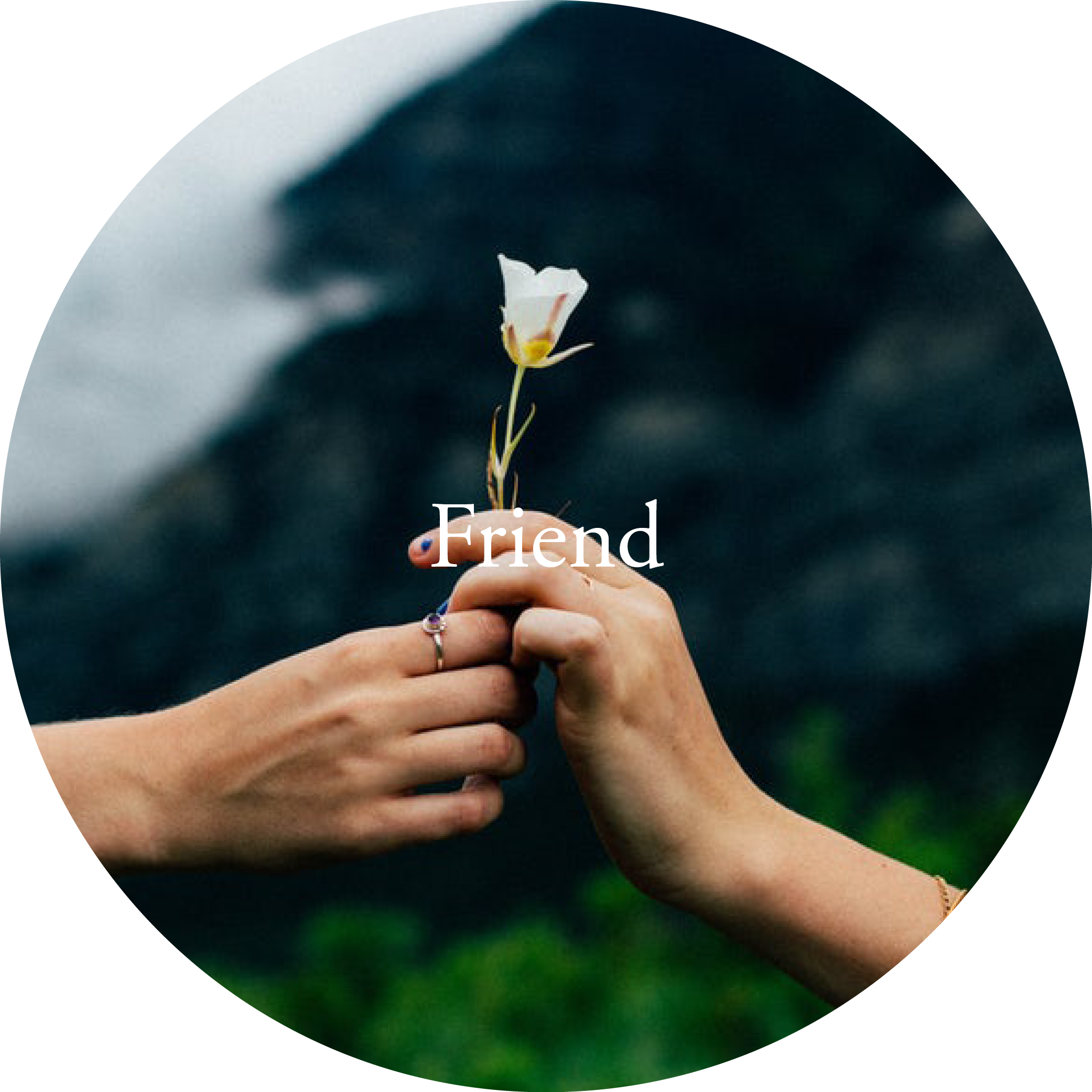 Membership Images4.png