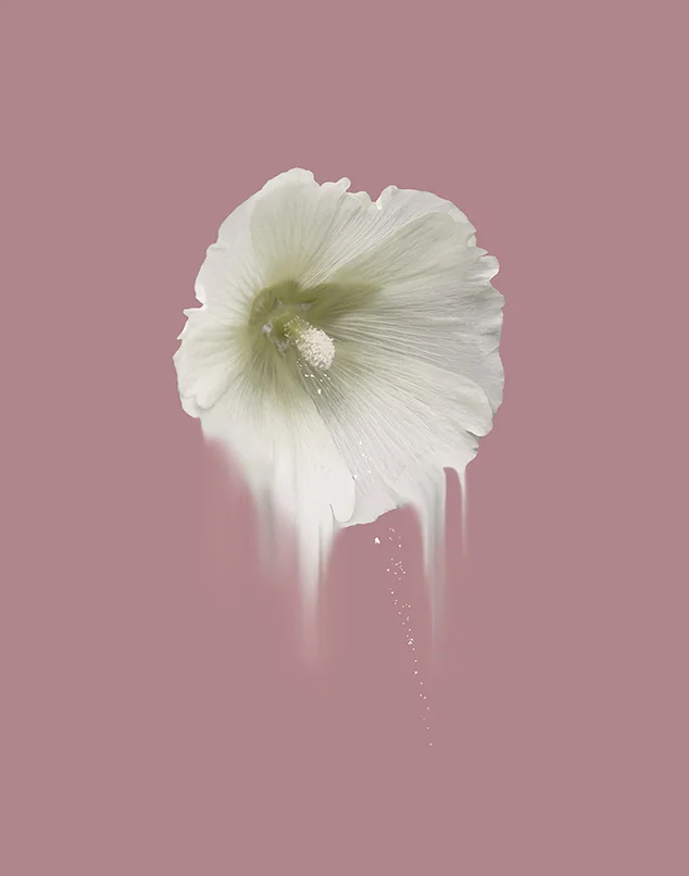 FECUNDITY II