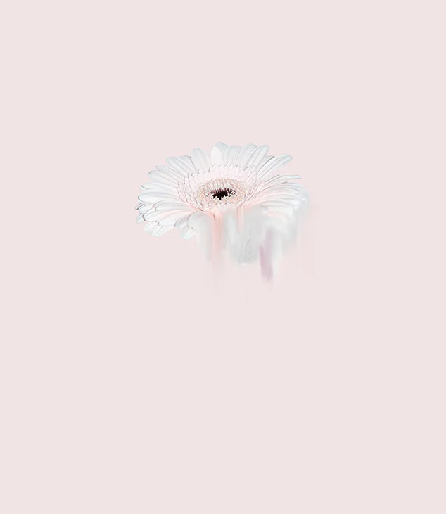 INNOCENCE