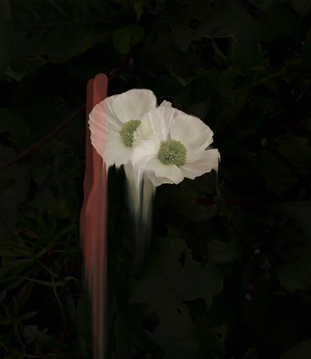 FAUX REVERIE