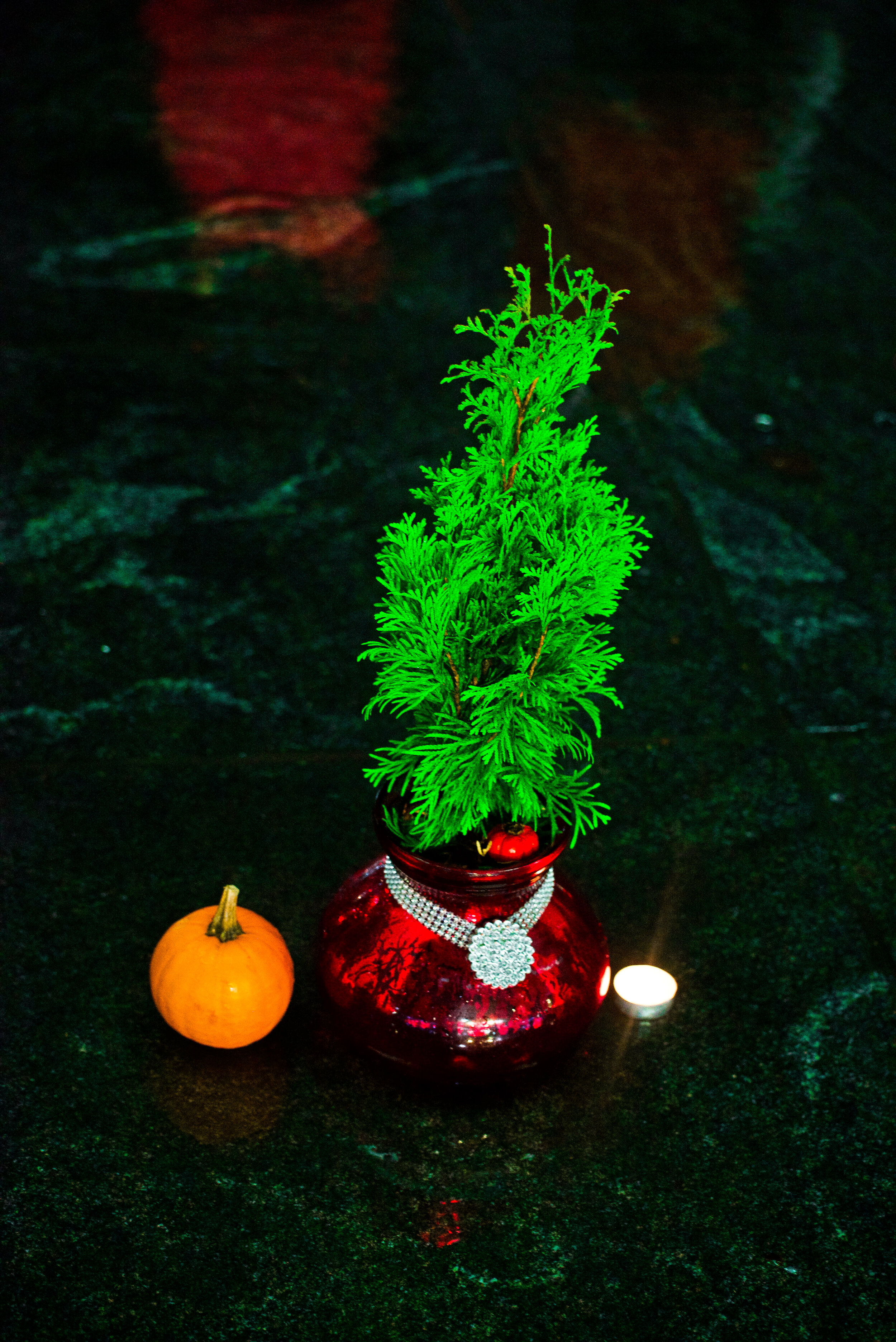 XRNYC20191107_107.jpg