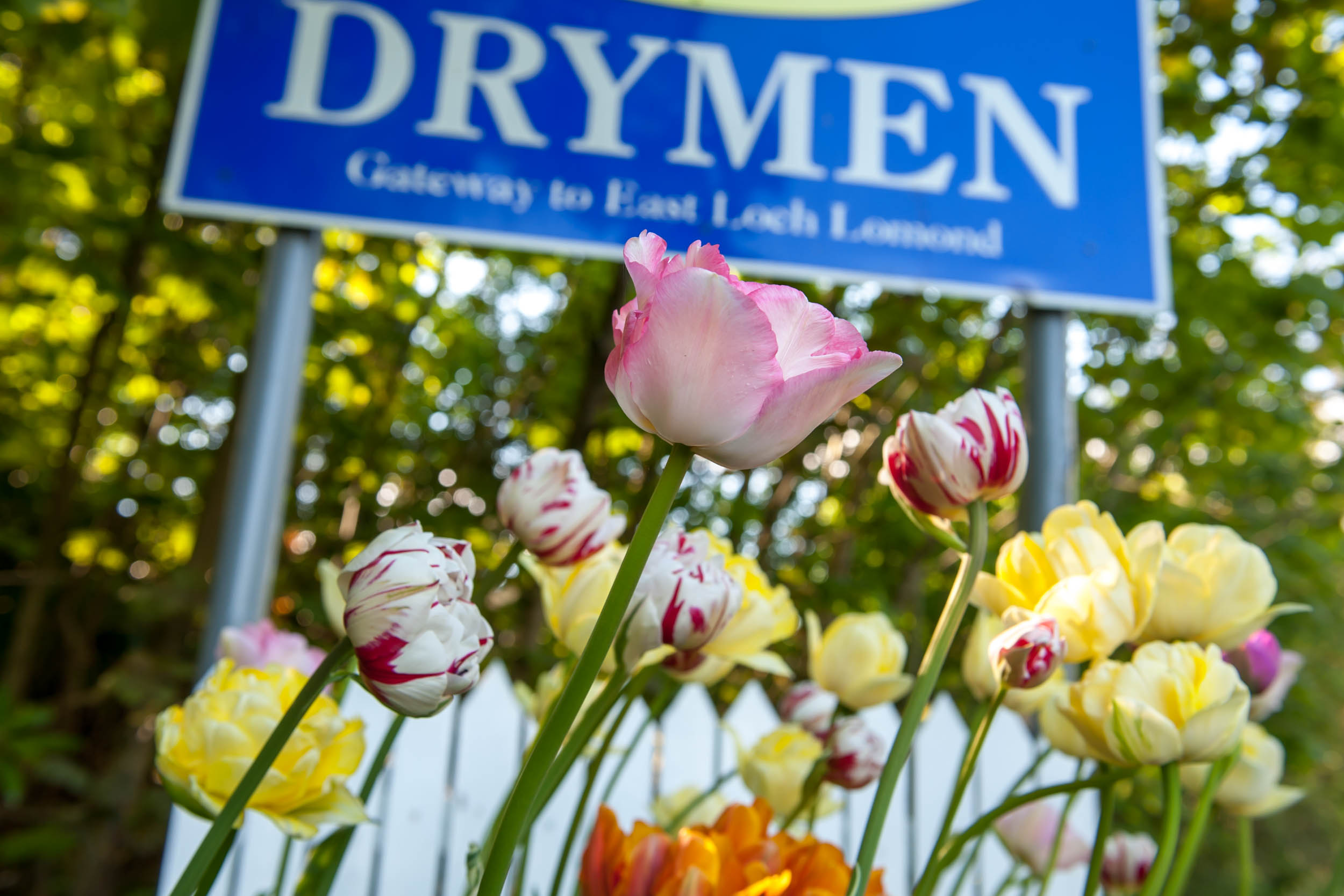 La beauté de Drymen