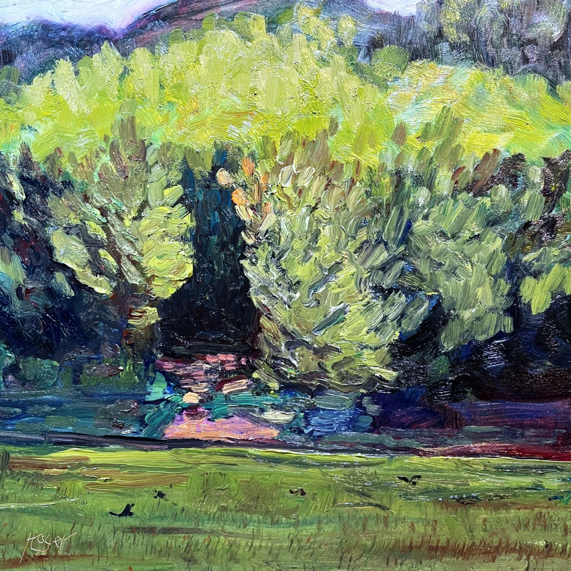 Opening Across a Field