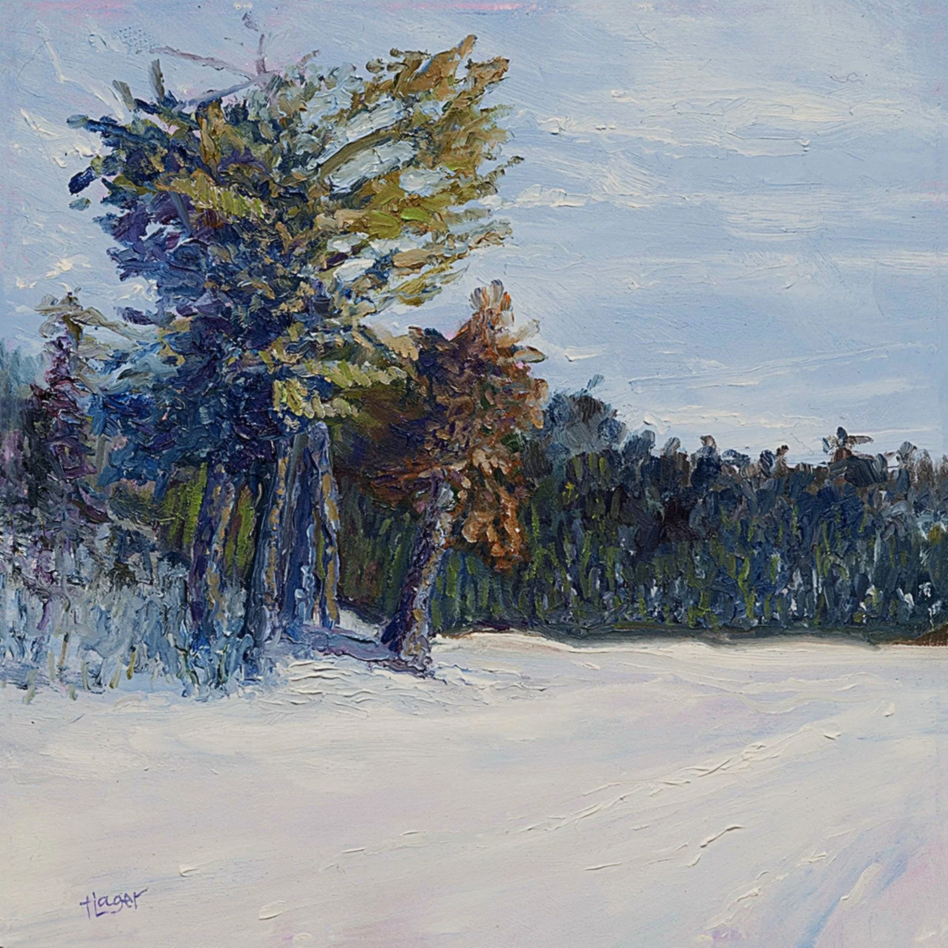   12 x 12, oil on canvas panel   Available 