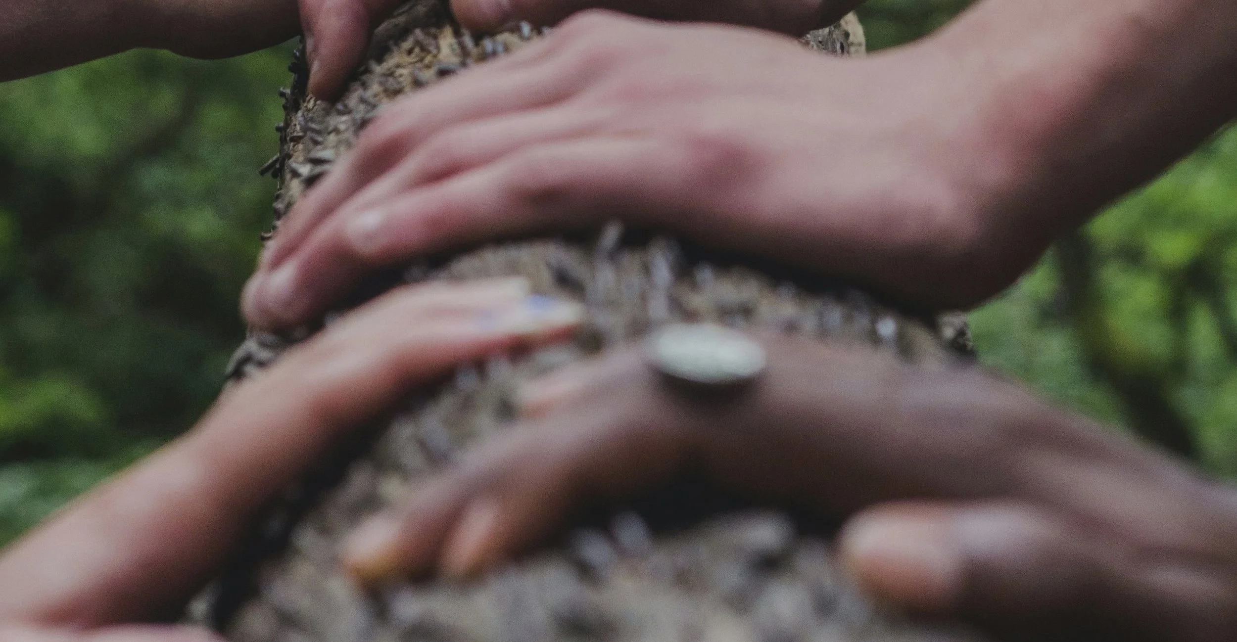 From consensus to commitment in academic decision-making