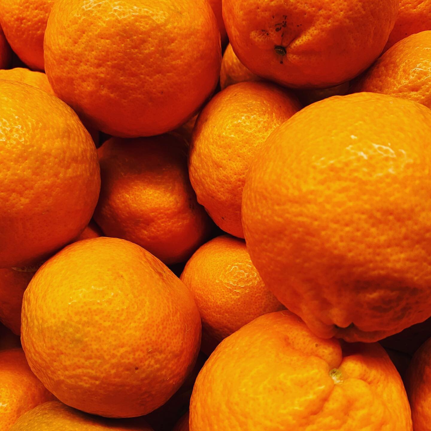 Tangerine 🍊 Purity Organic #wegotthatfromthegetgo #marfatexas