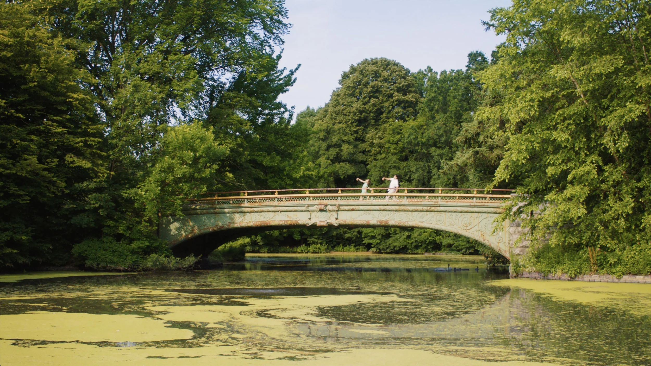 TWIB_Promo_Bridge small.jpg