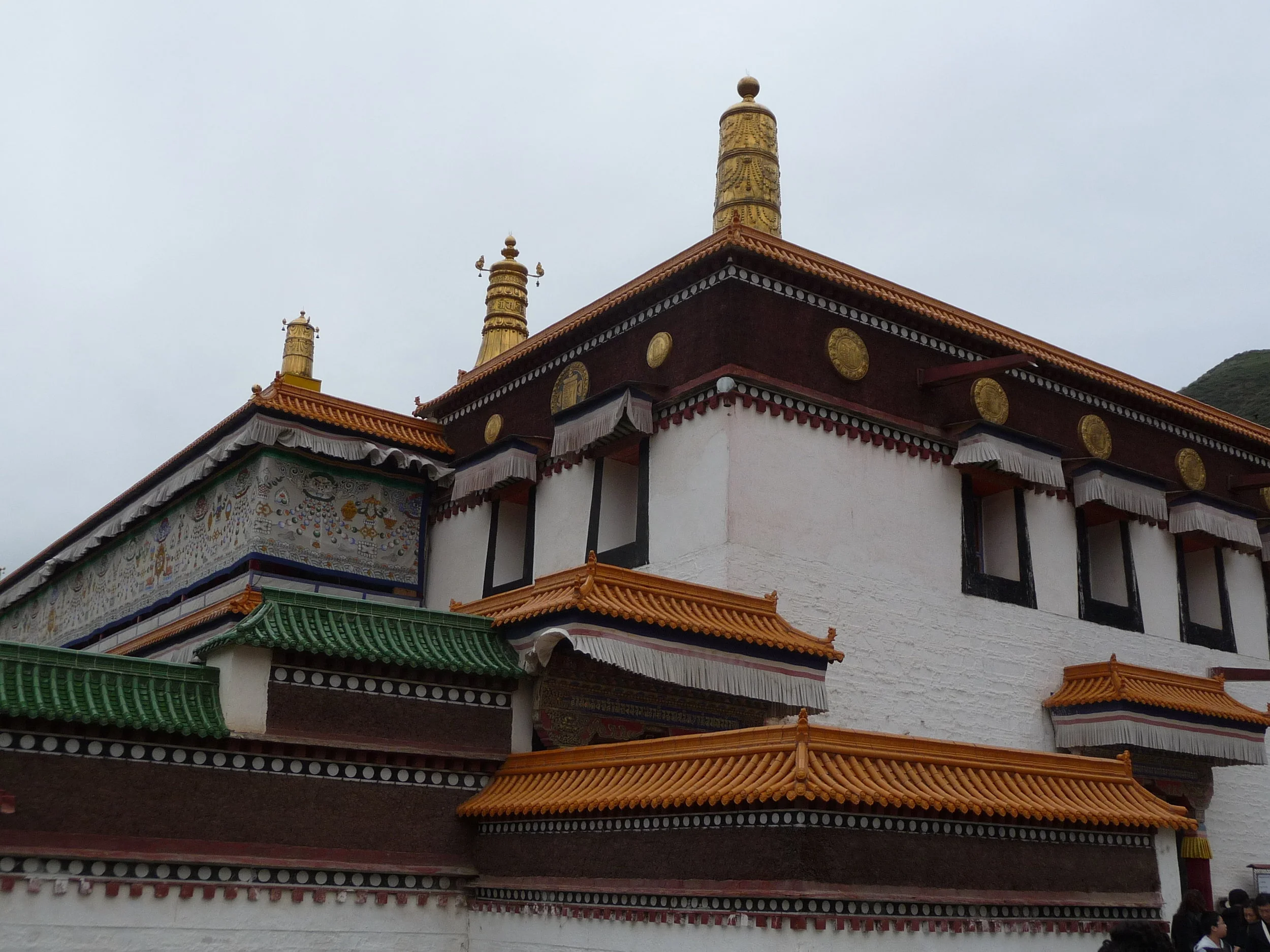 P1060008.JPG