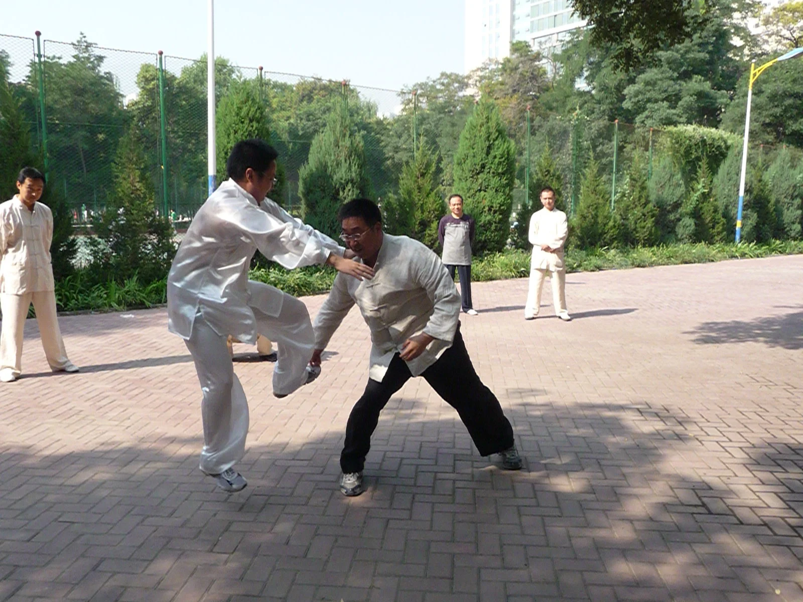 P1060289.JPG