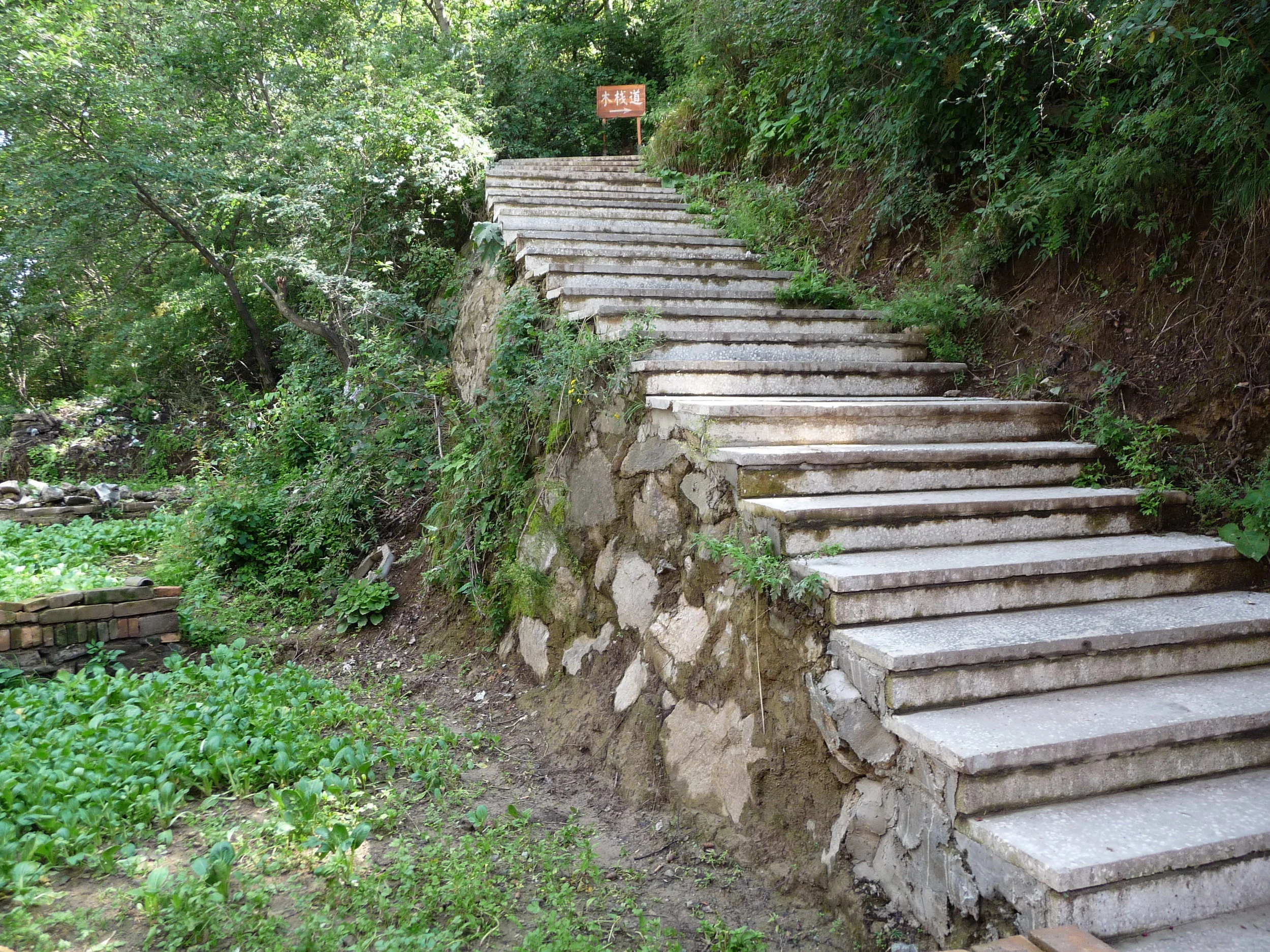 P1060714.JPG