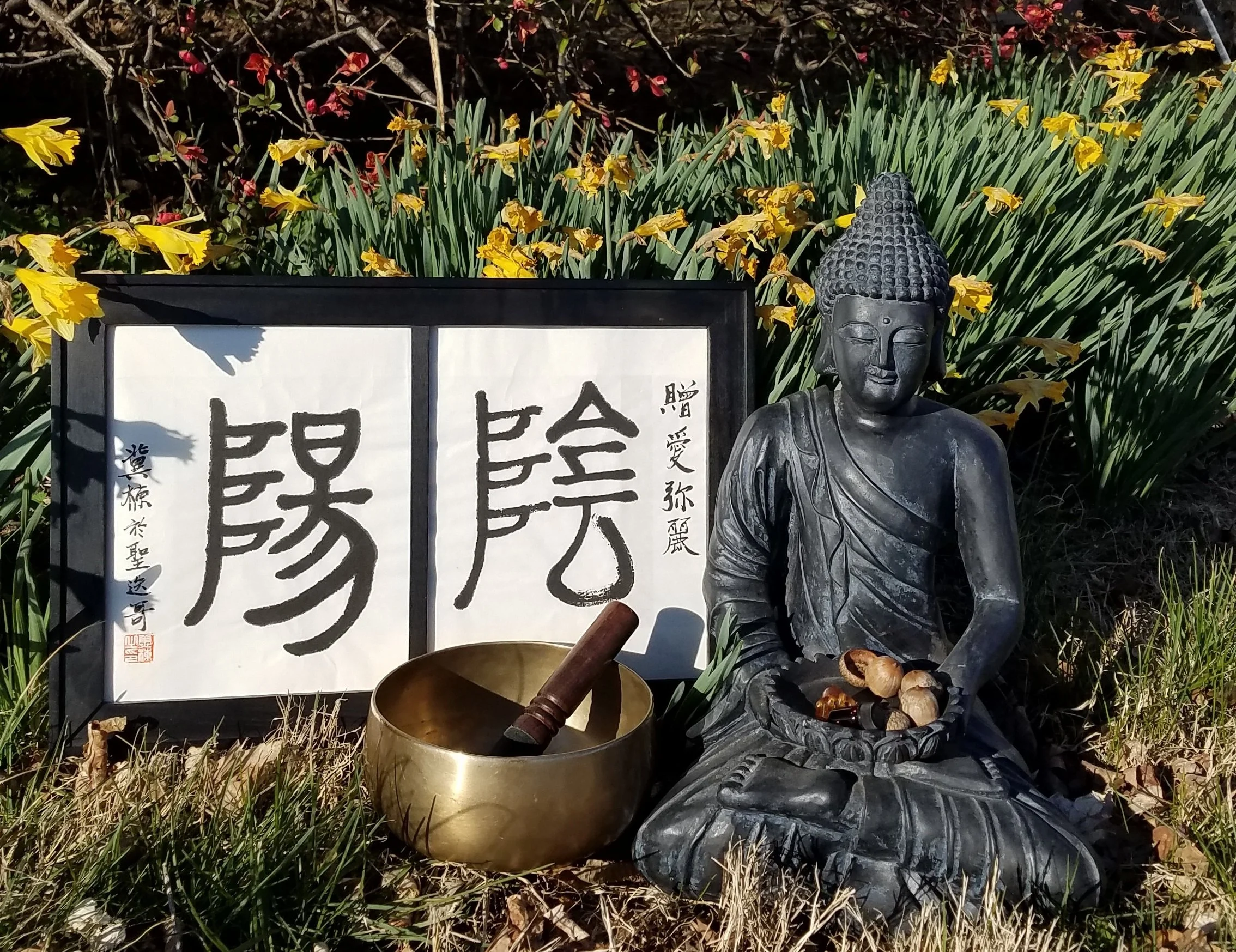 20170315_174932.jpg