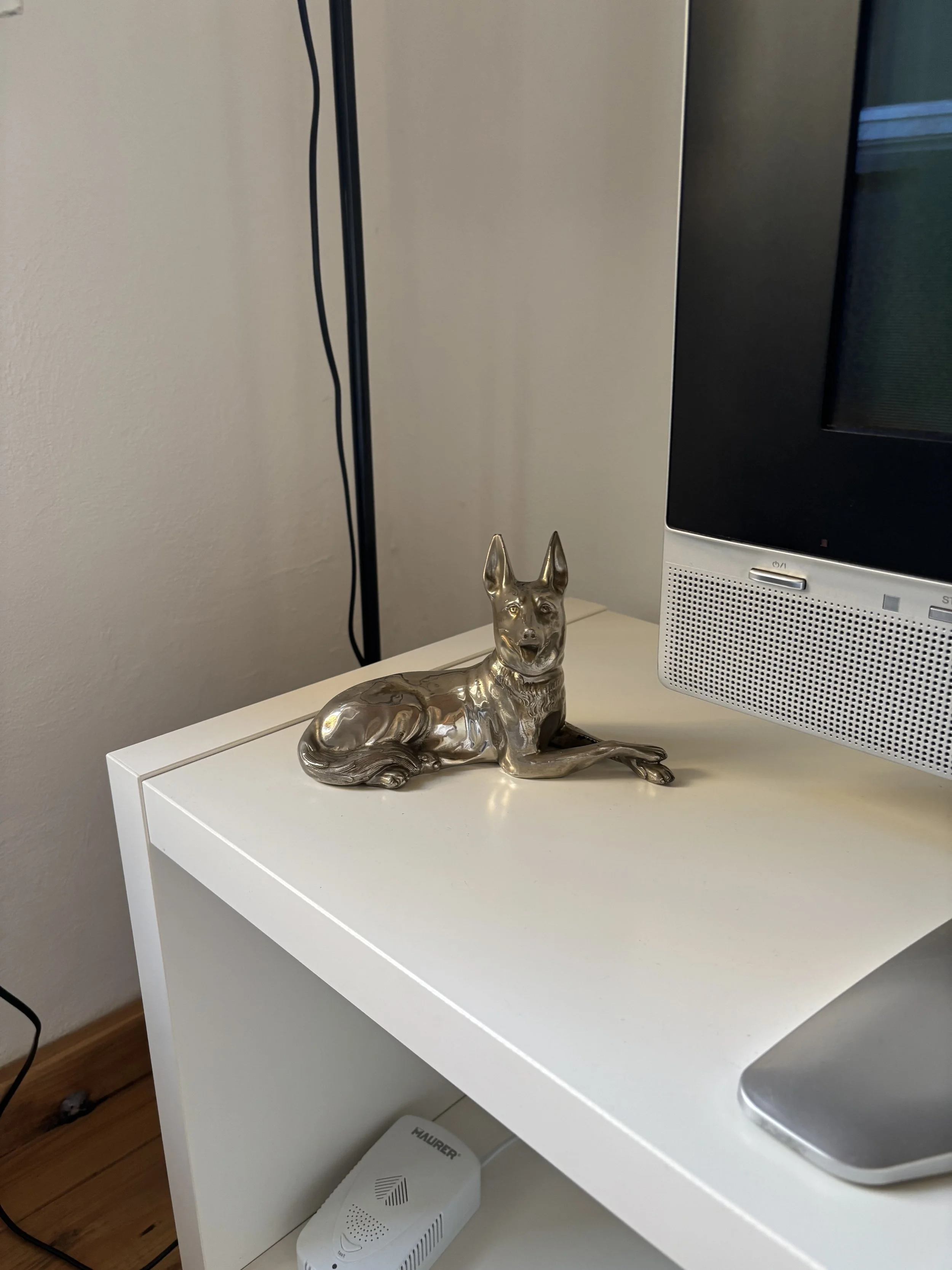 IMG_4813.jpeg