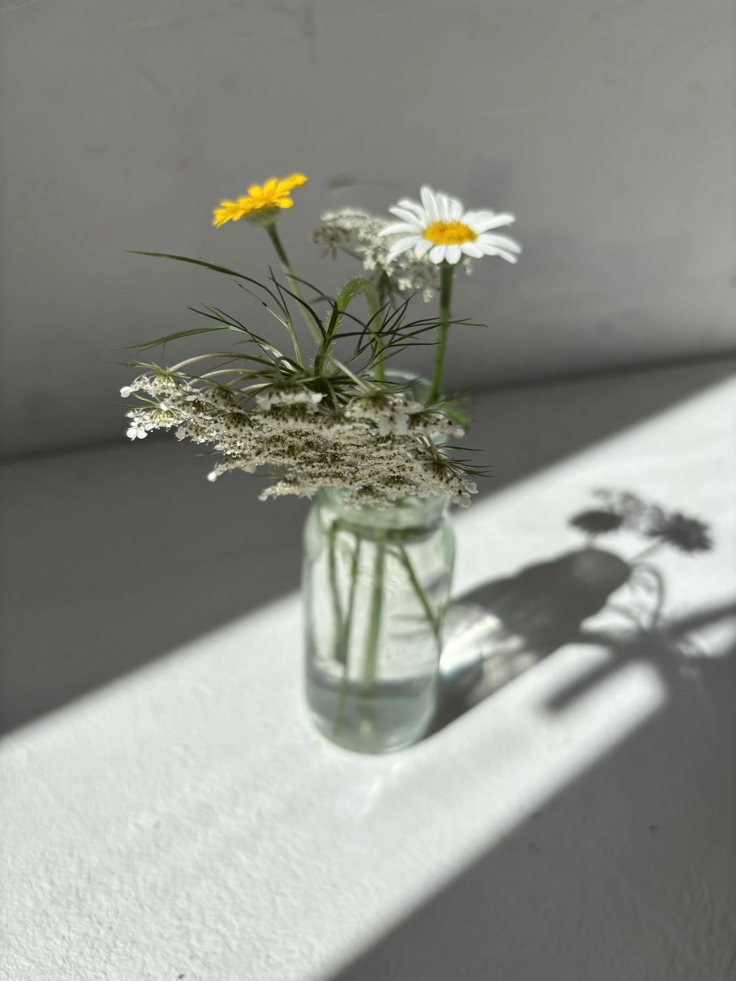 IMG_4872.jpeg