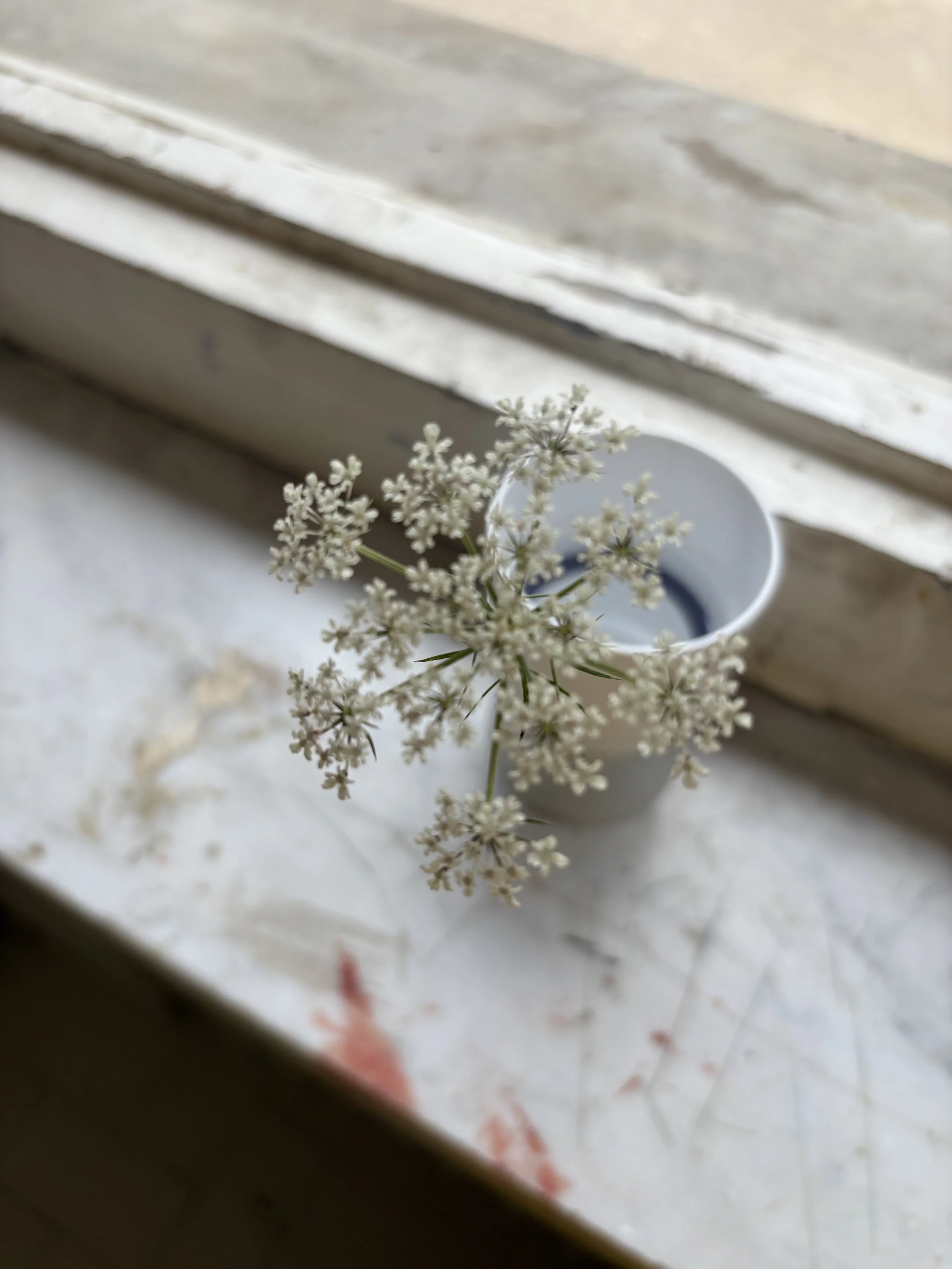 IMG_4843.jpeg