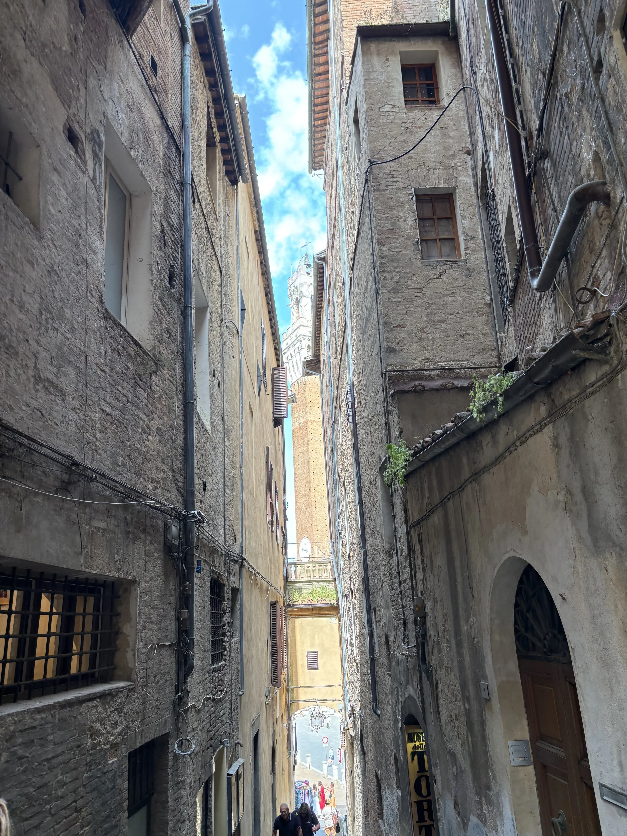IMG_4826.jpeg