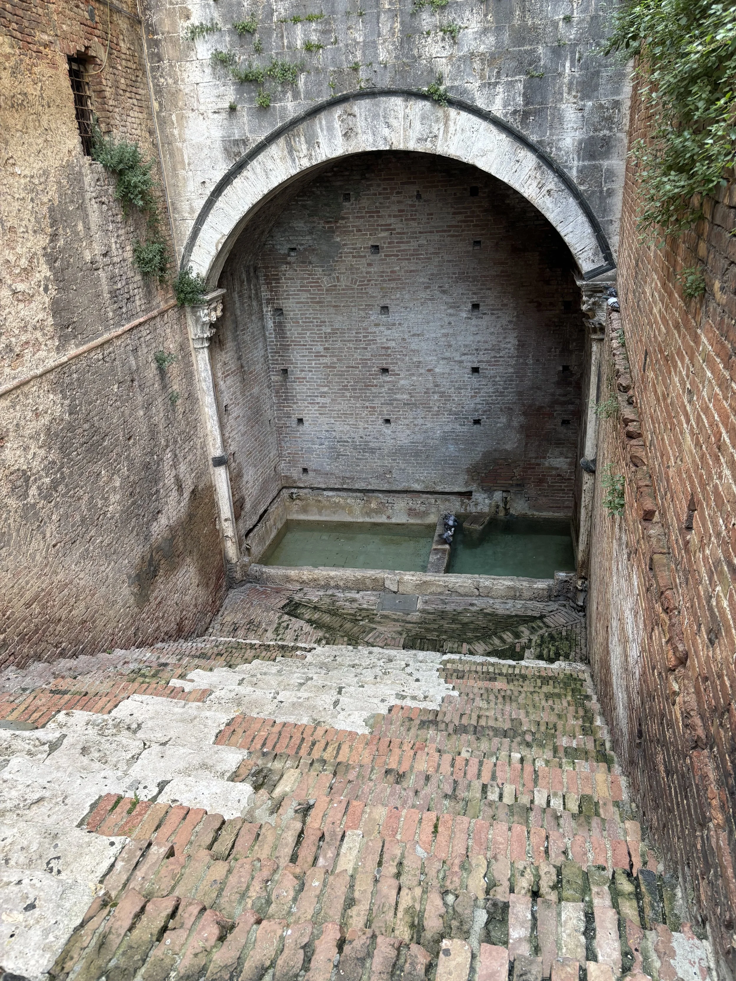 IMG_4877.jpeg