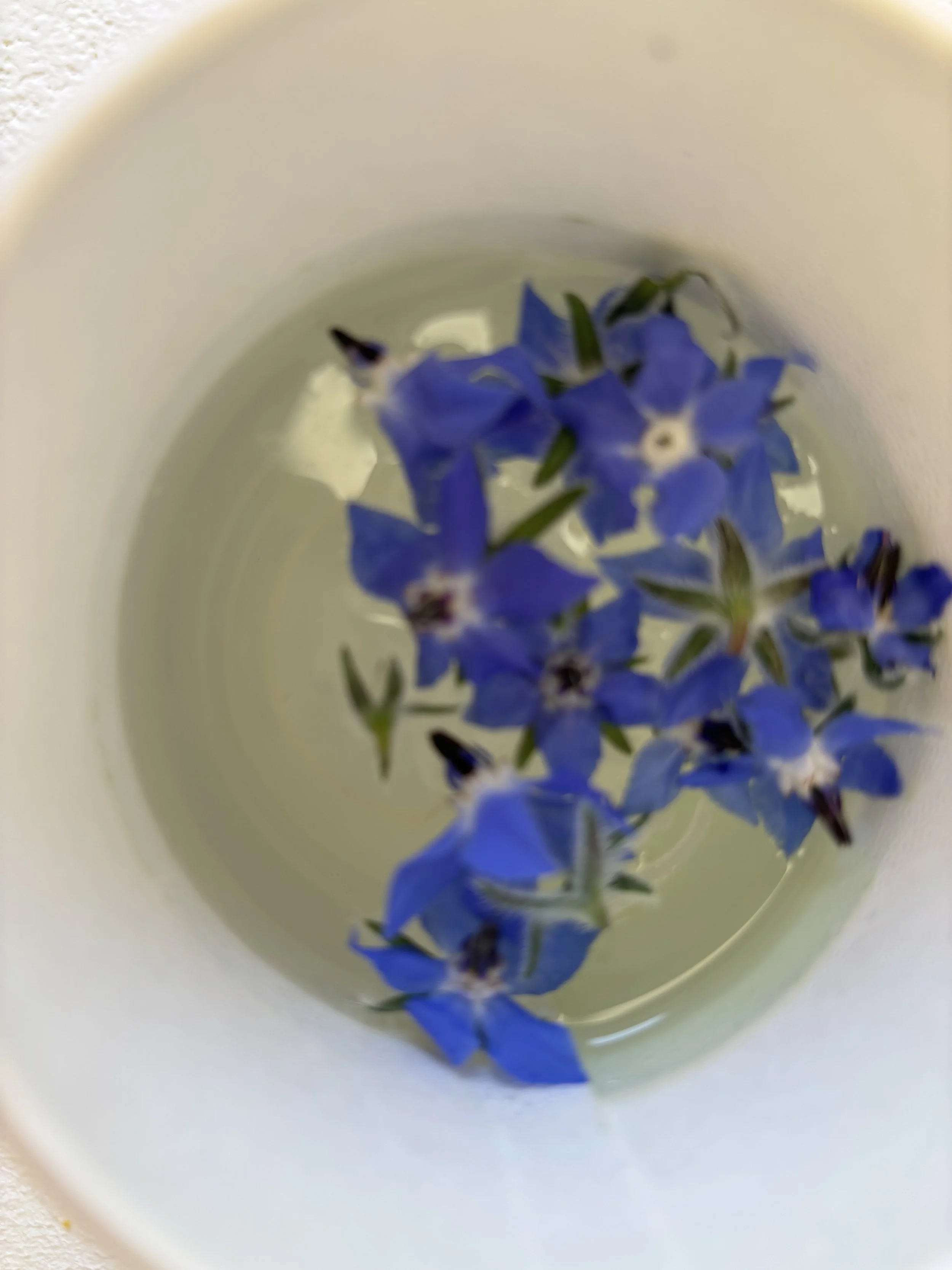 IMG_4983.jpeg