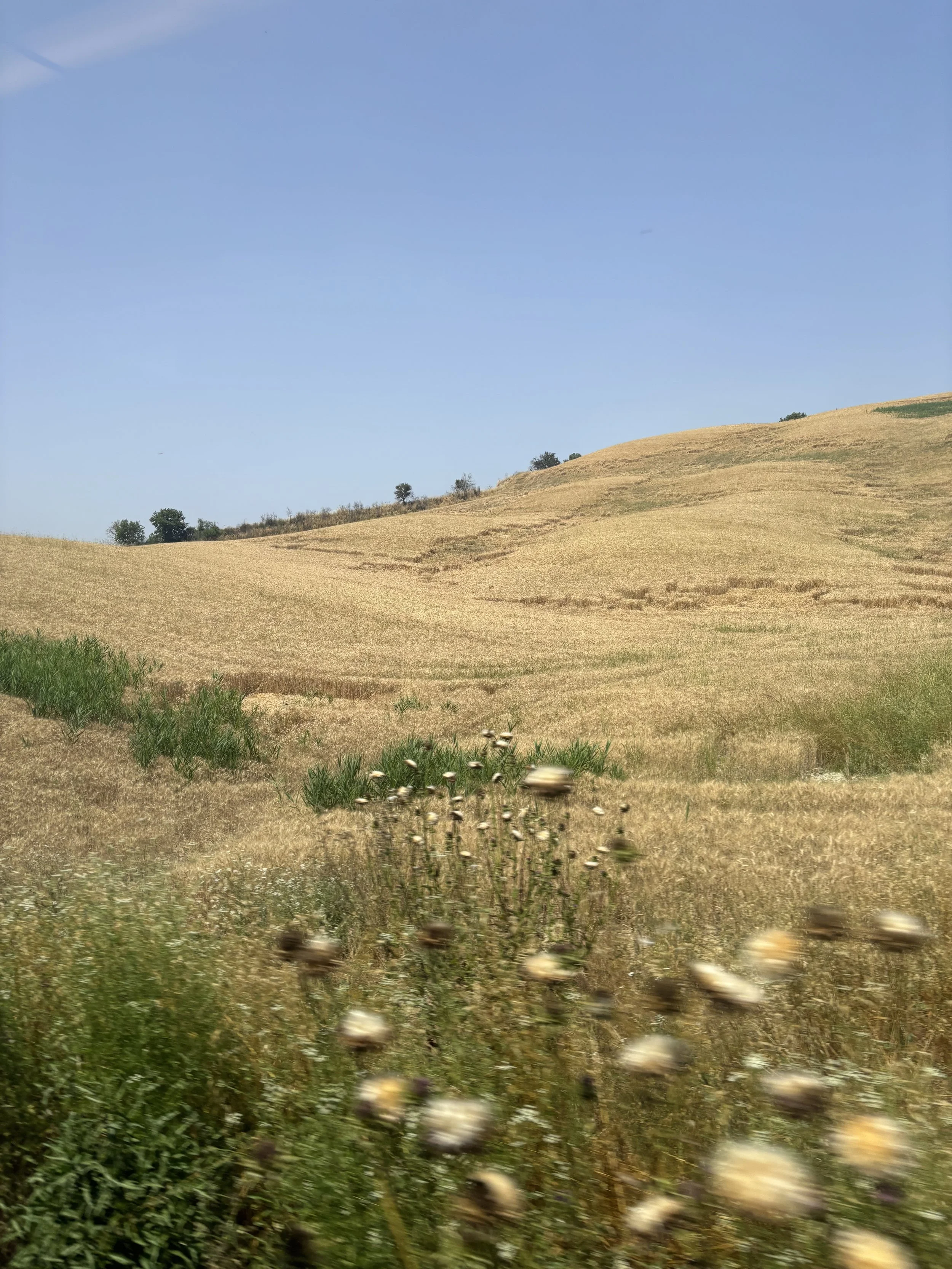 IMG_5153.jpeg