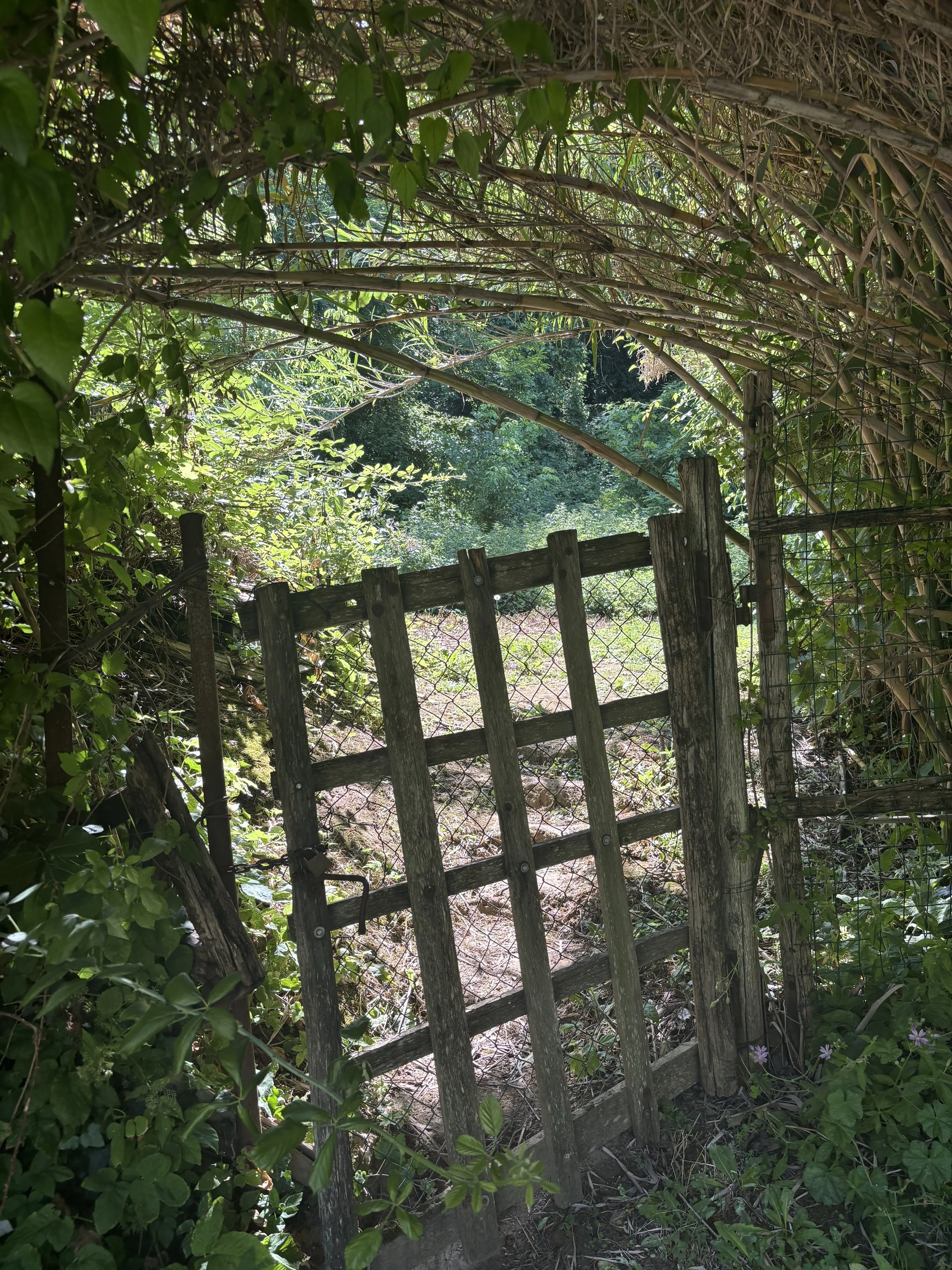 IMG_5436.jpeg