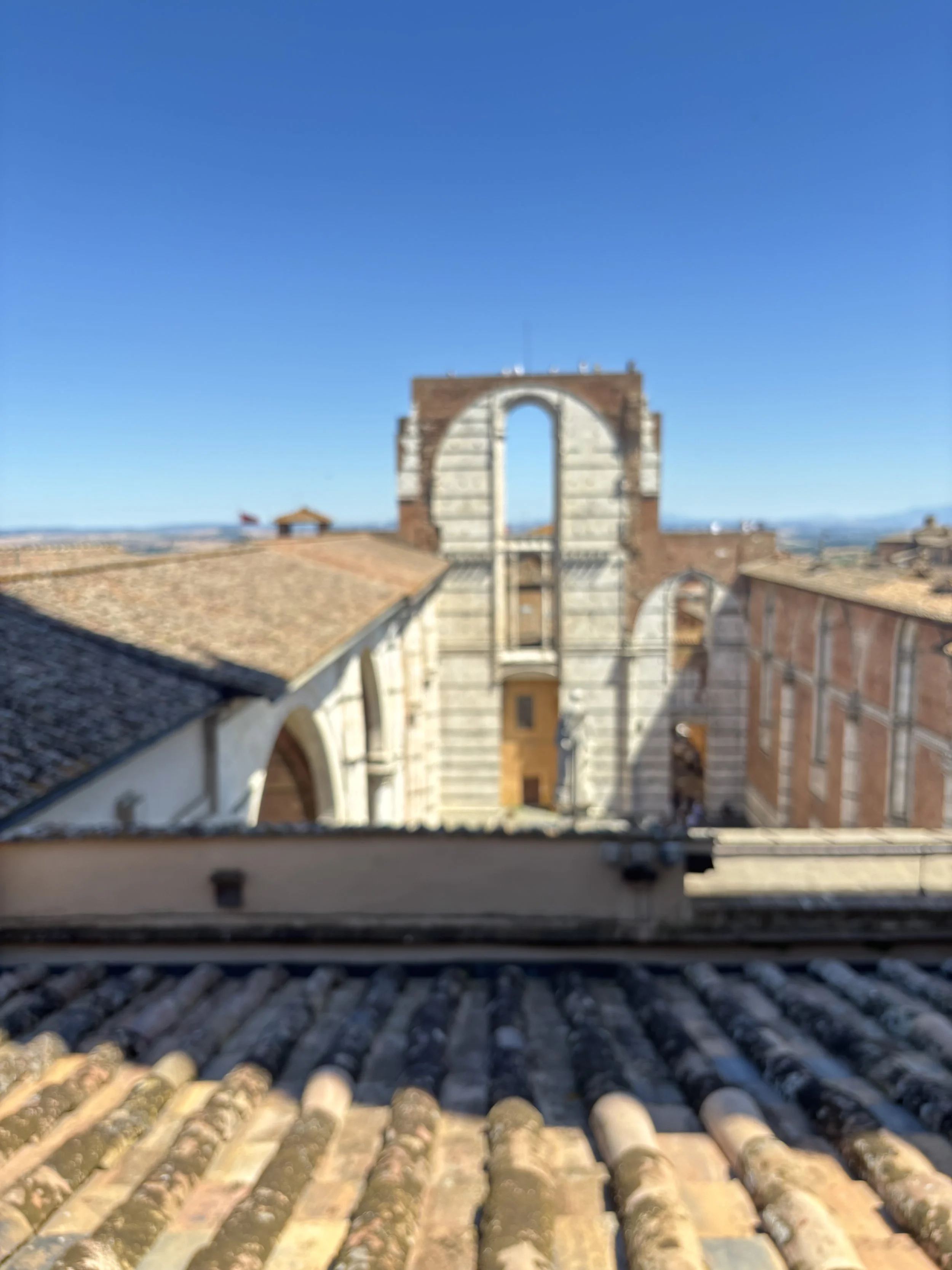 IMG_5717.jpeg