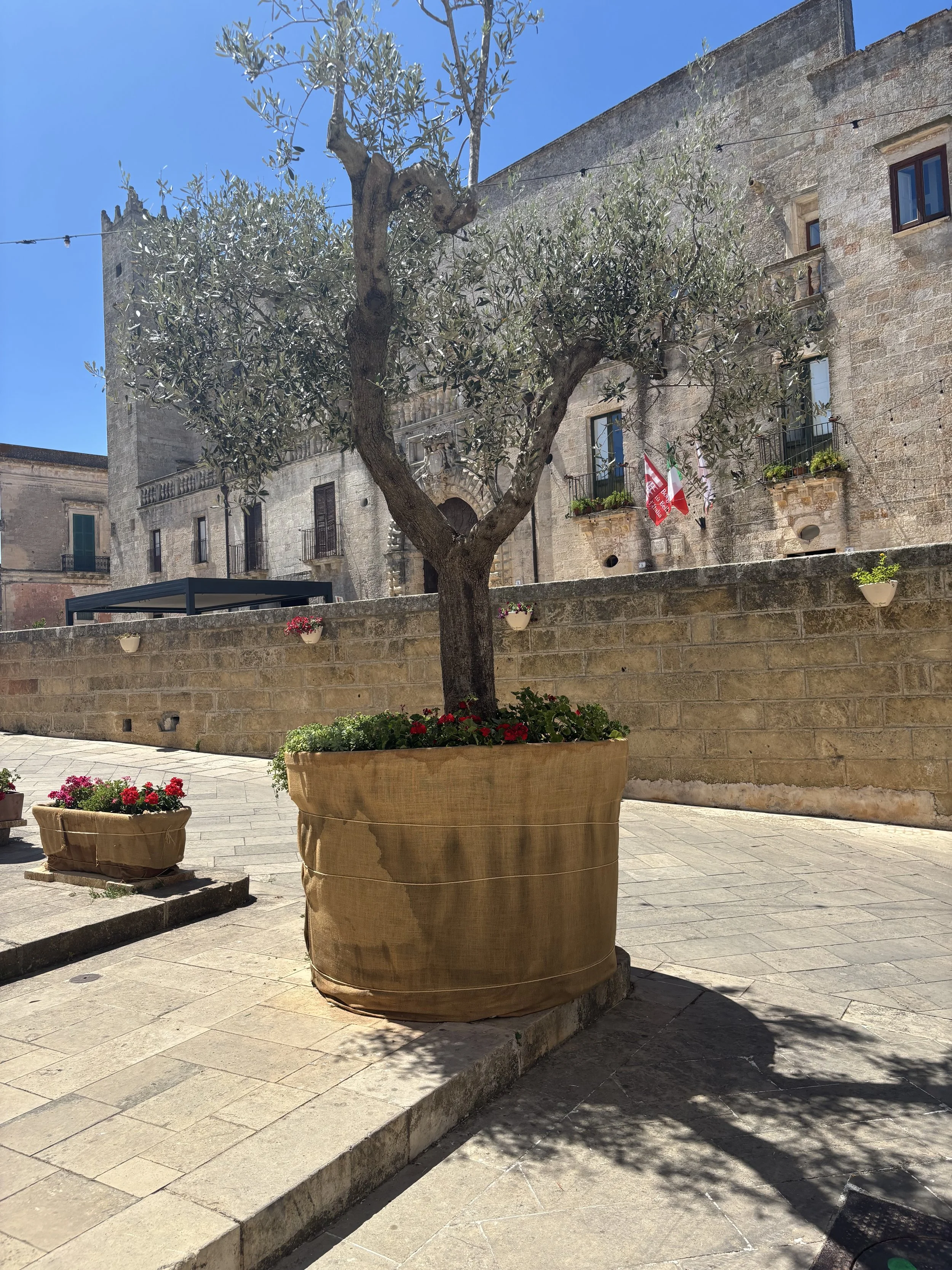 IMG_6618.jpeg