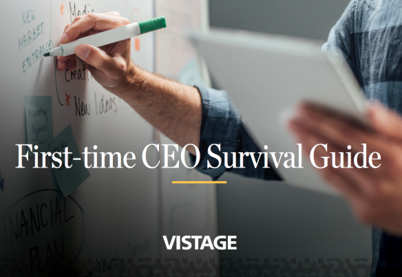 Surviving the Life of a CEO