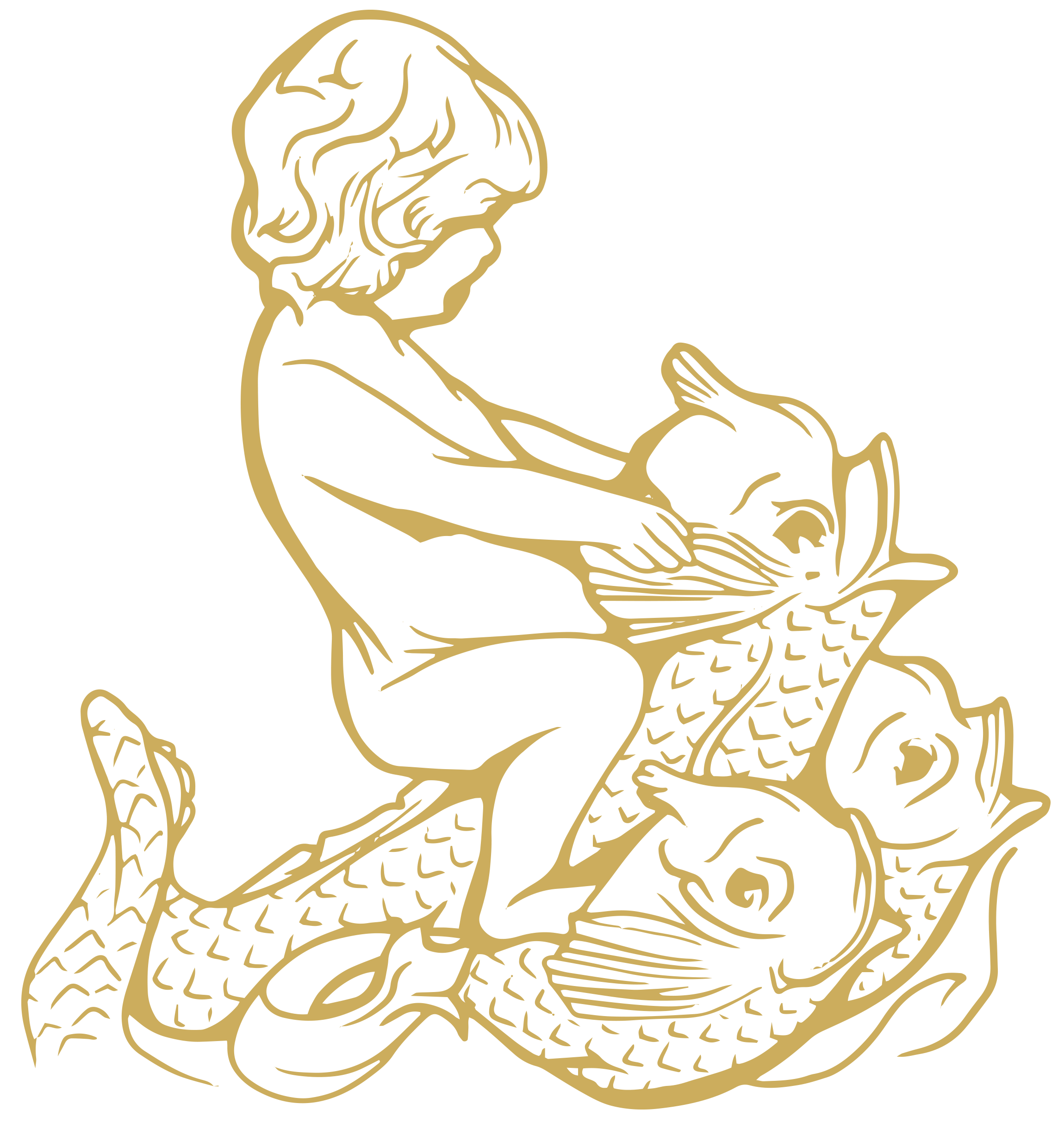 dolphins.png