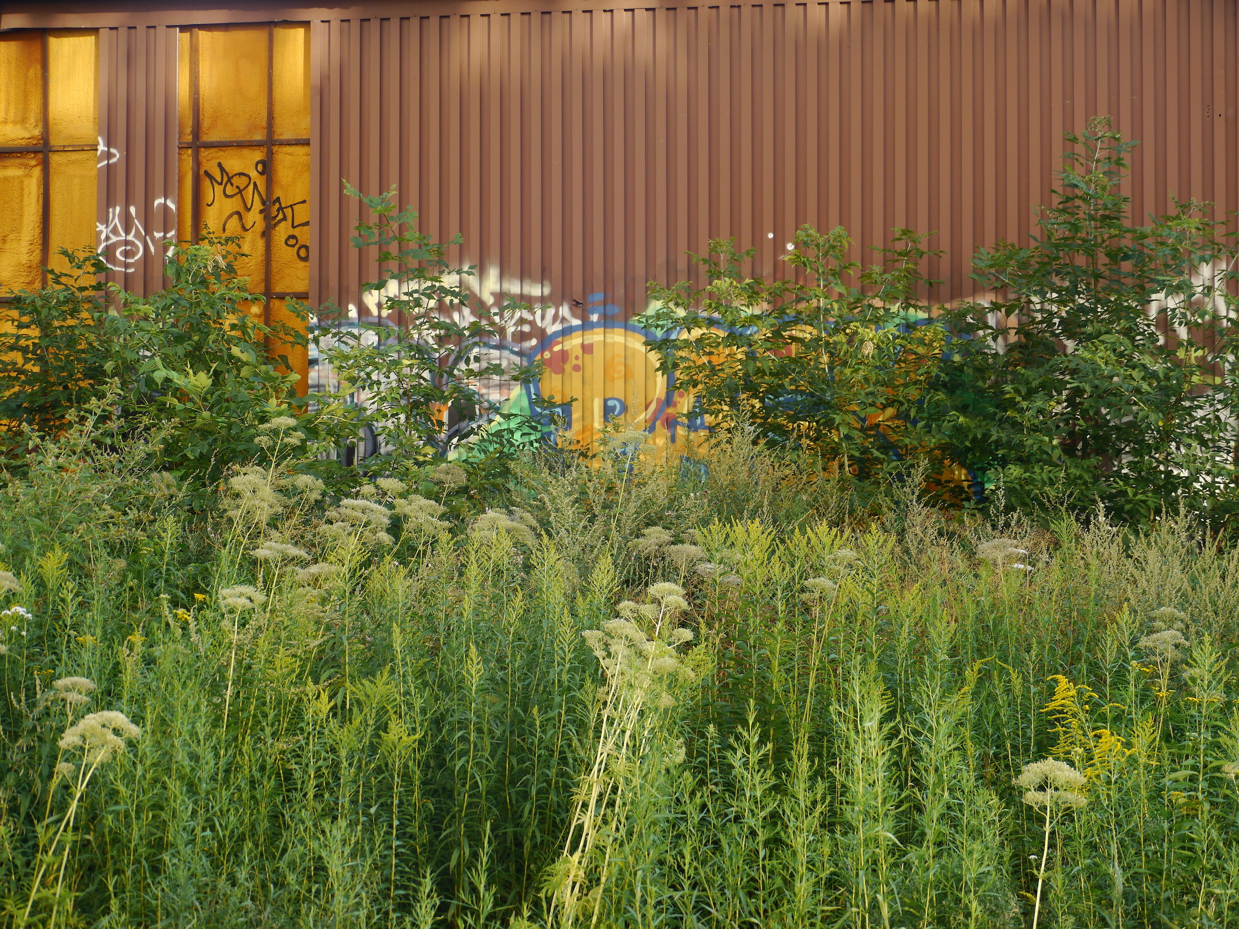 side fields_websized.jpg