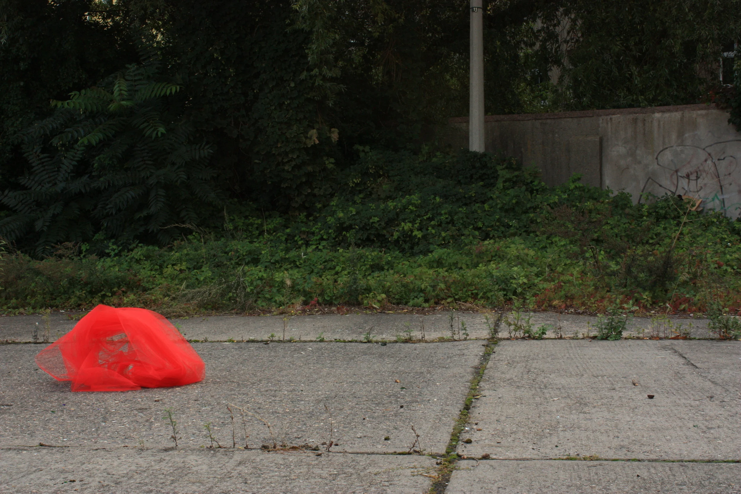 Red Tulle_original.JPG