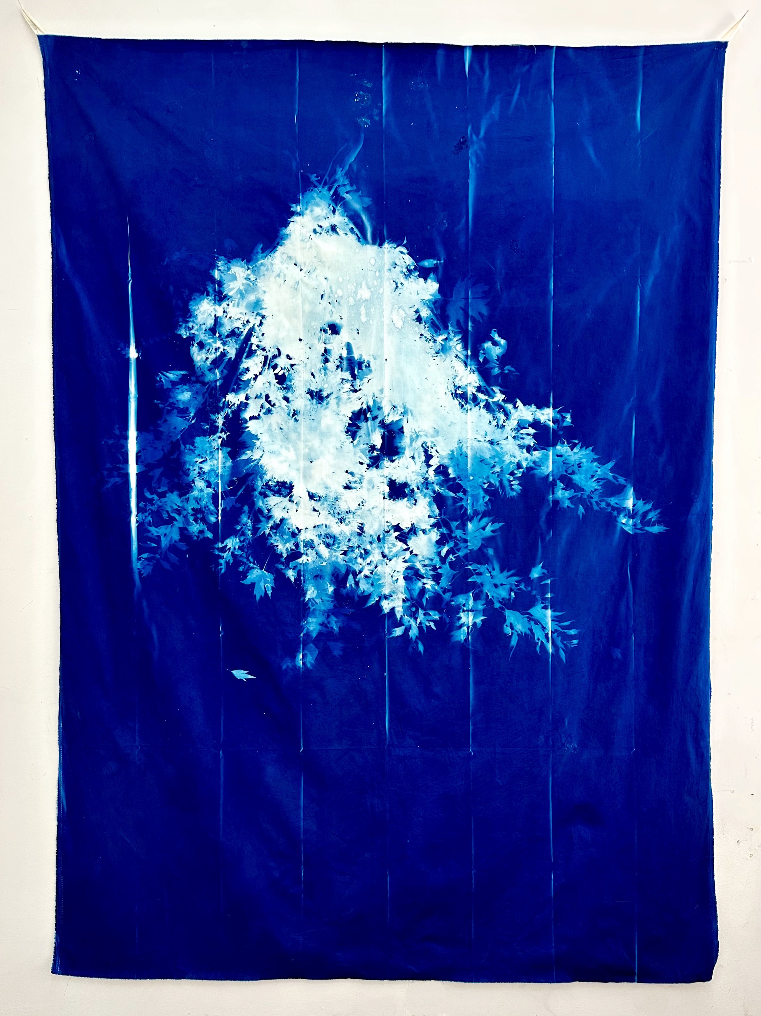 Motherwort Banner