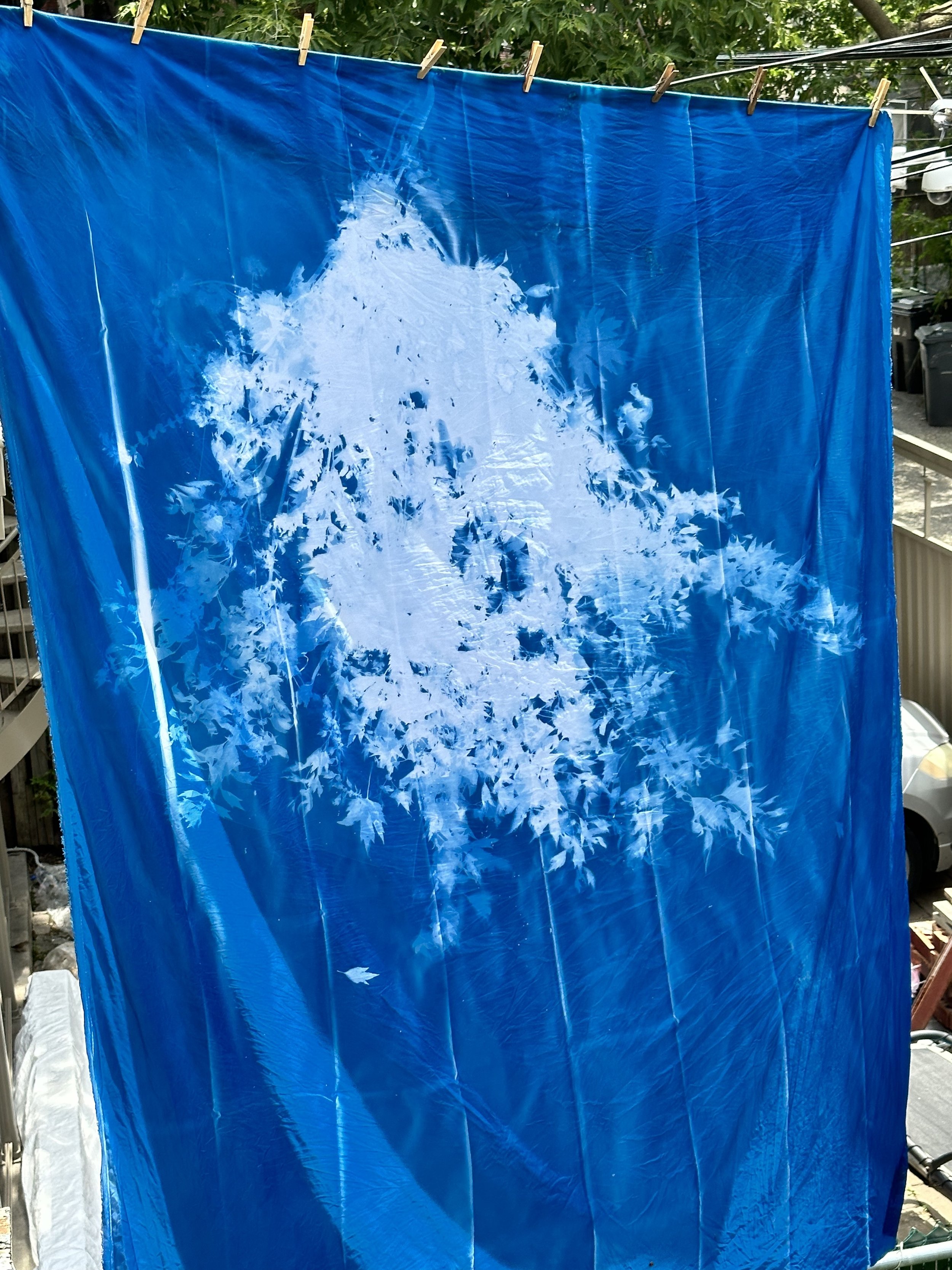 Motherwort Banner, in process