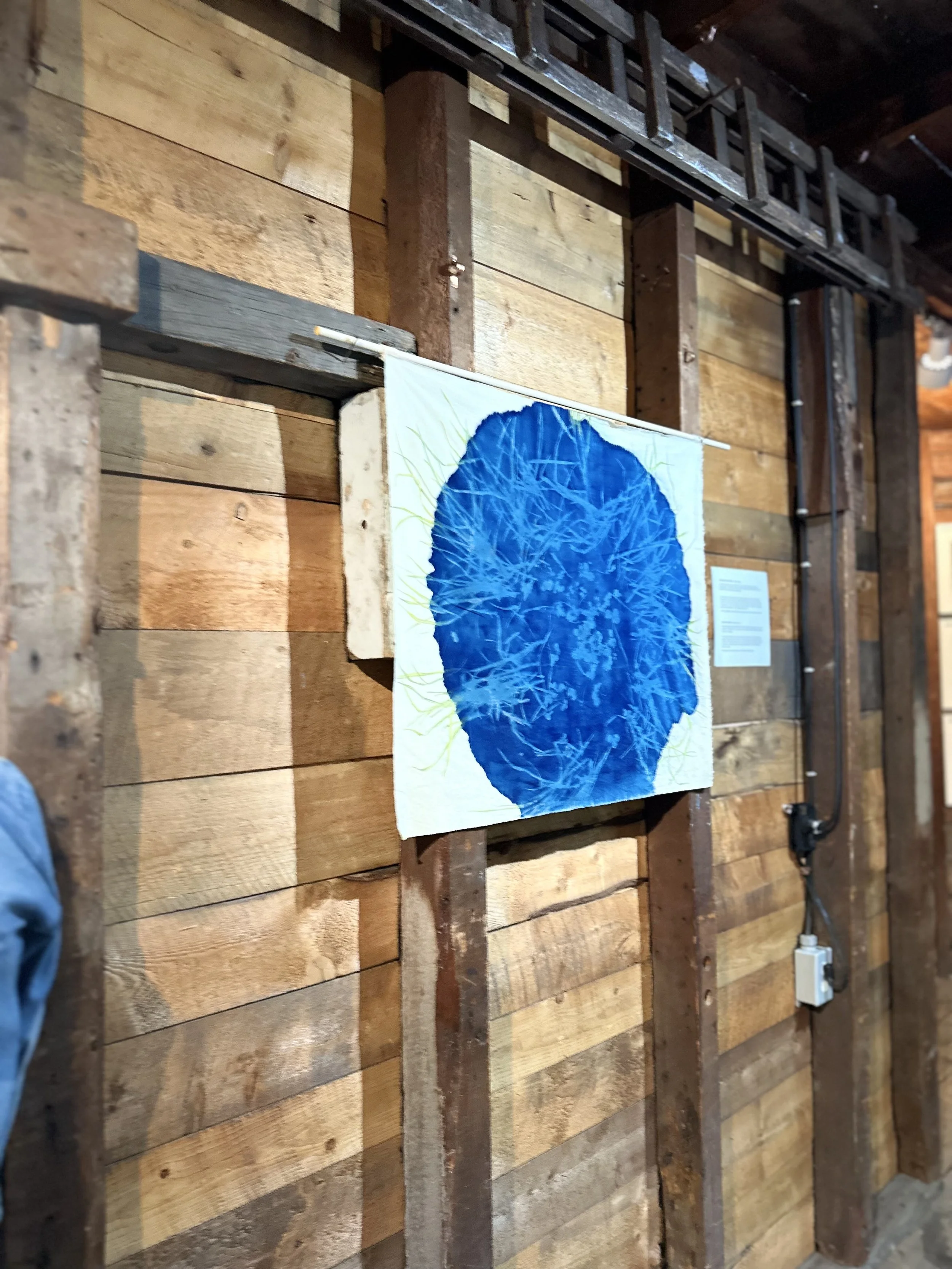 Installation, "A l'Ecoute", Blacksmith Gallery, Stanstead QC, 2026