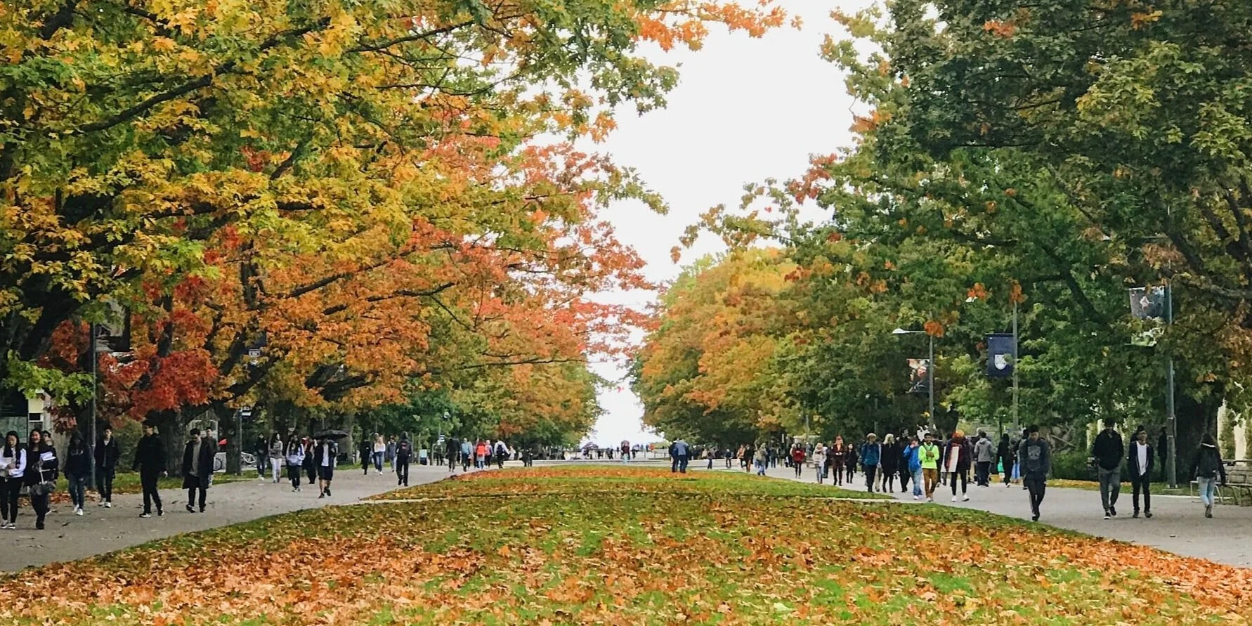 River Valley Credit Union Login | First NRV Federal Credit Union