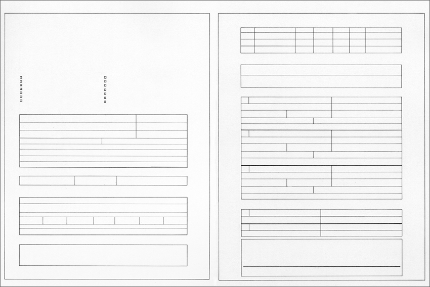 Joy Drury Cox, Untitled (Blockbuster Application), 2006, Graphite on paper, 26 x 34 inches