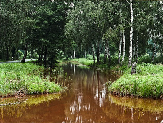 Frank Döring, Untitled (Acidic runoff in stream), 2008, Archival pigment print, 18 x 22 inches